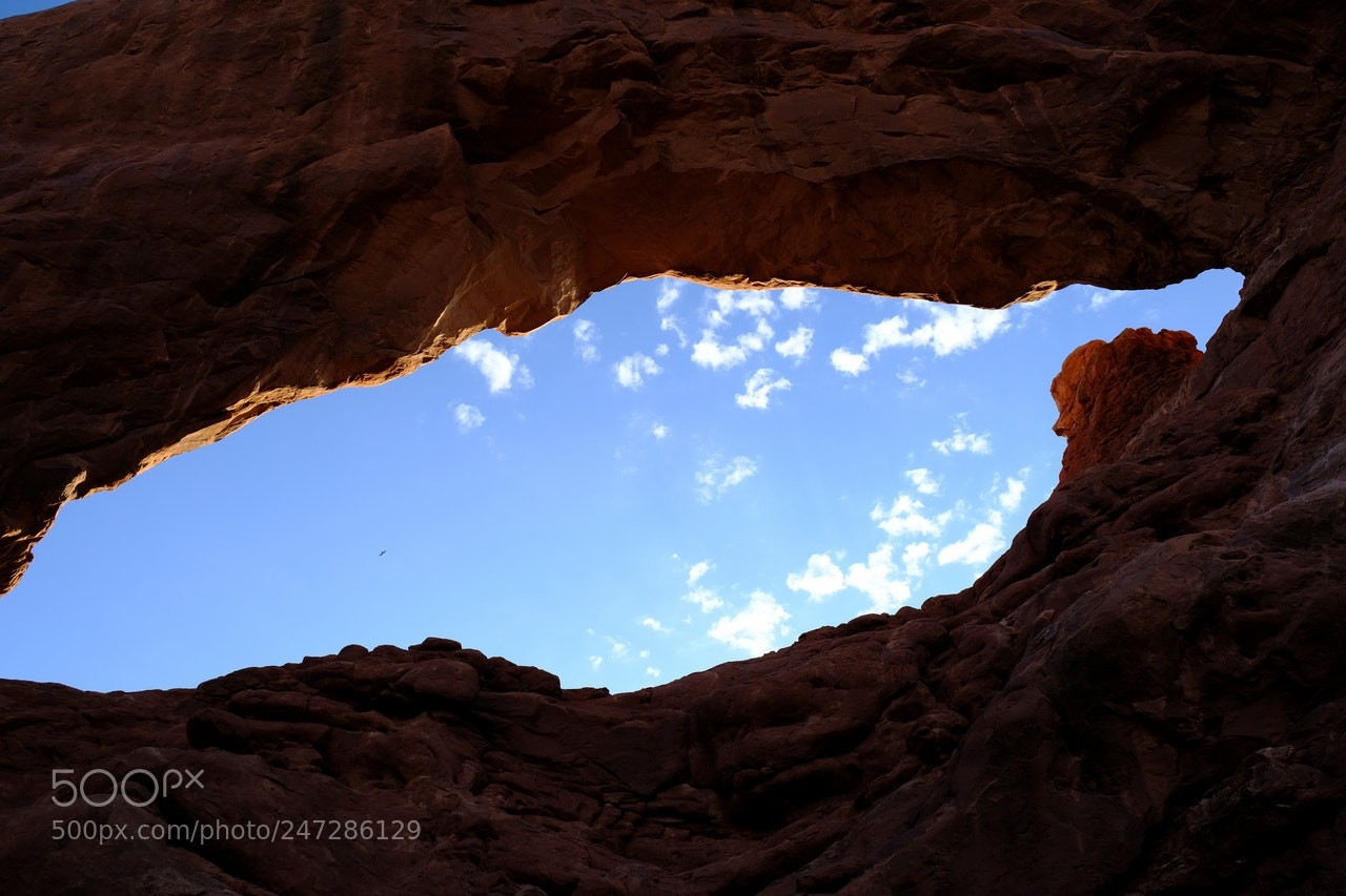 Fujifilm X-T2 sample photo. 0093.jpg photography