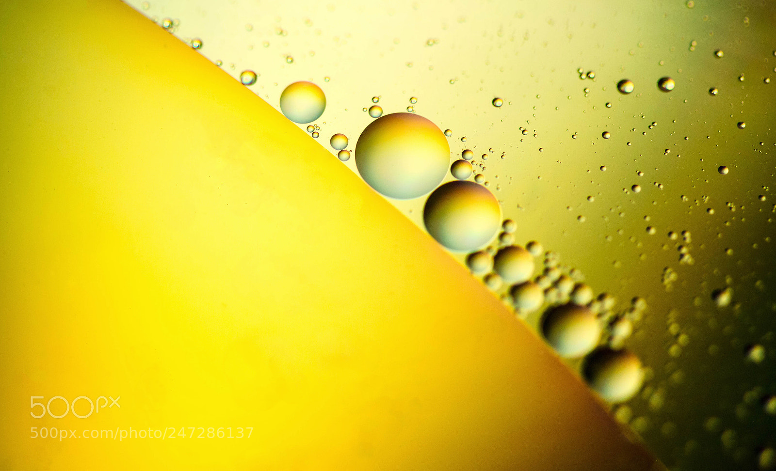 Canon EOS 7D sample photo. 1637.jpg photography