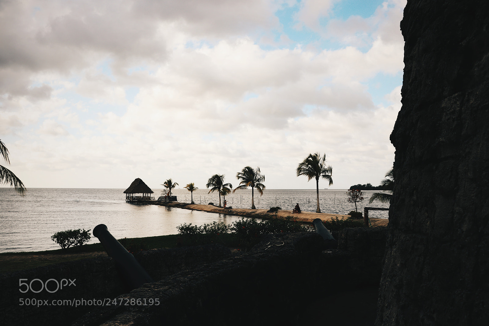 Canon EOS 77D (EOS 9000D / EOS 770D) sample photo. Untitled photography