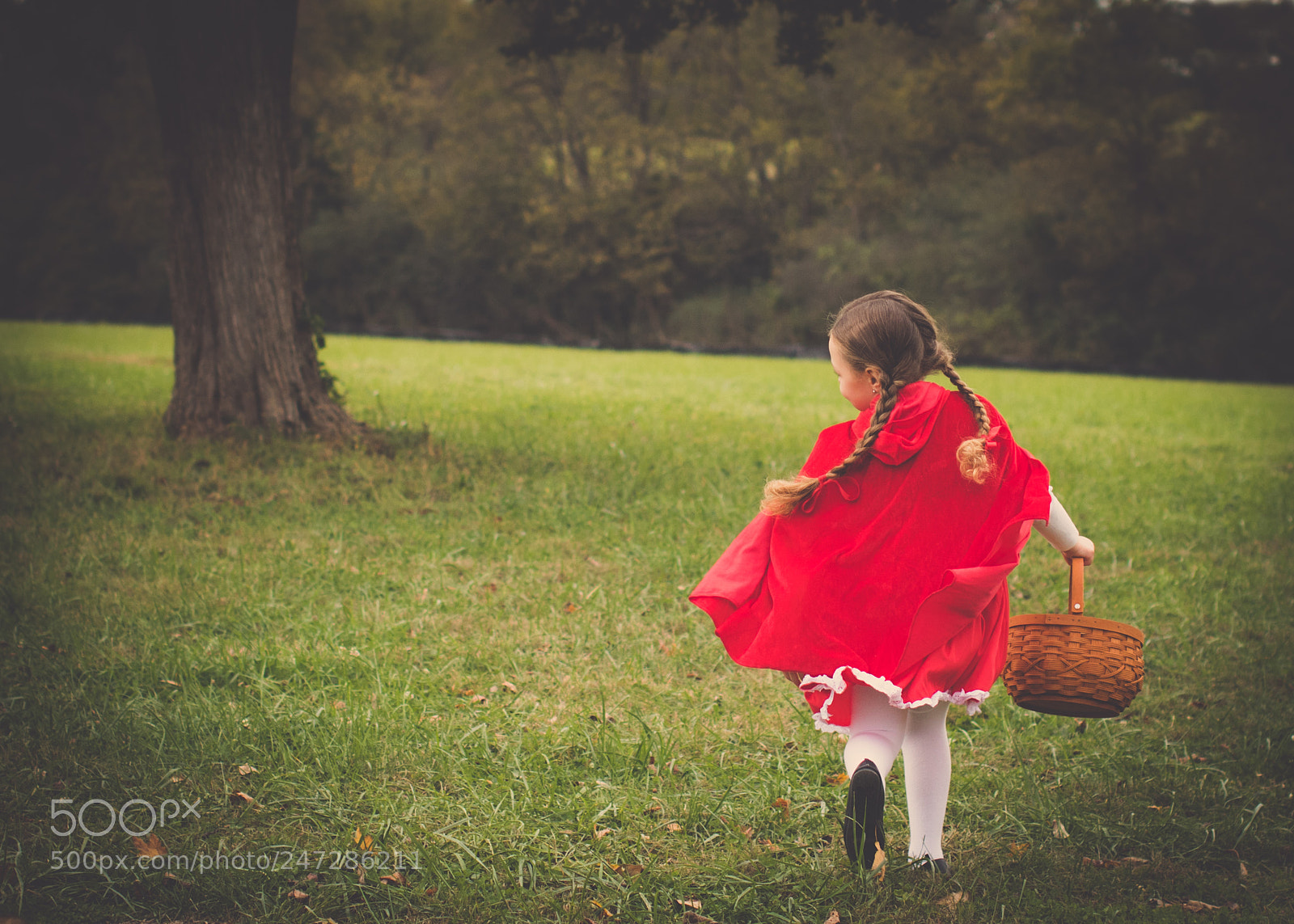 Canon EOS 7D Mark II sample photo. Wonder photography
