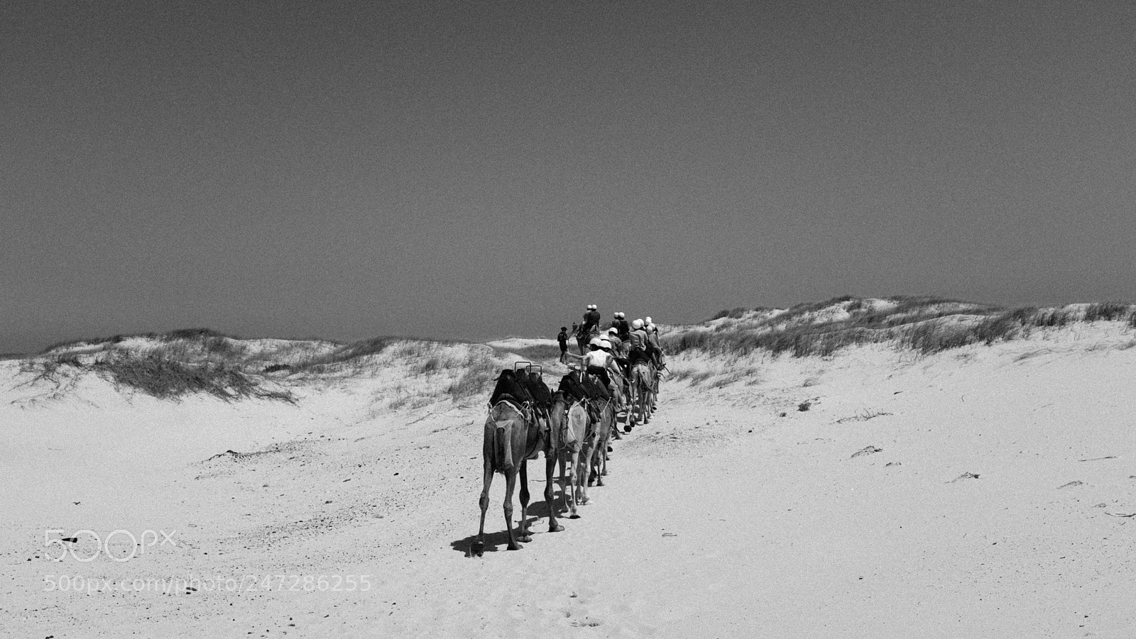 Fujifilm X100F sample photo. Untitled photography