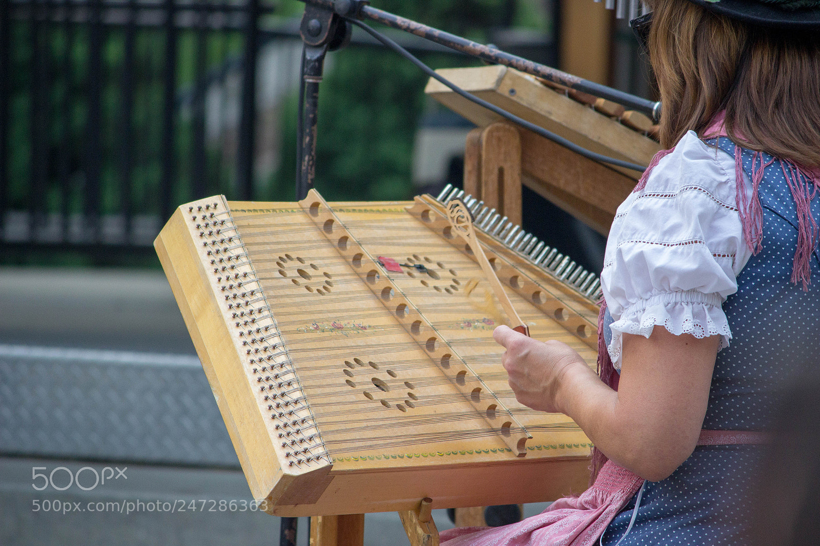 Canon EOS 600D (Rebel EOS T3i / EOS Kiss X5) sample photo. Hammered dulcimer photography