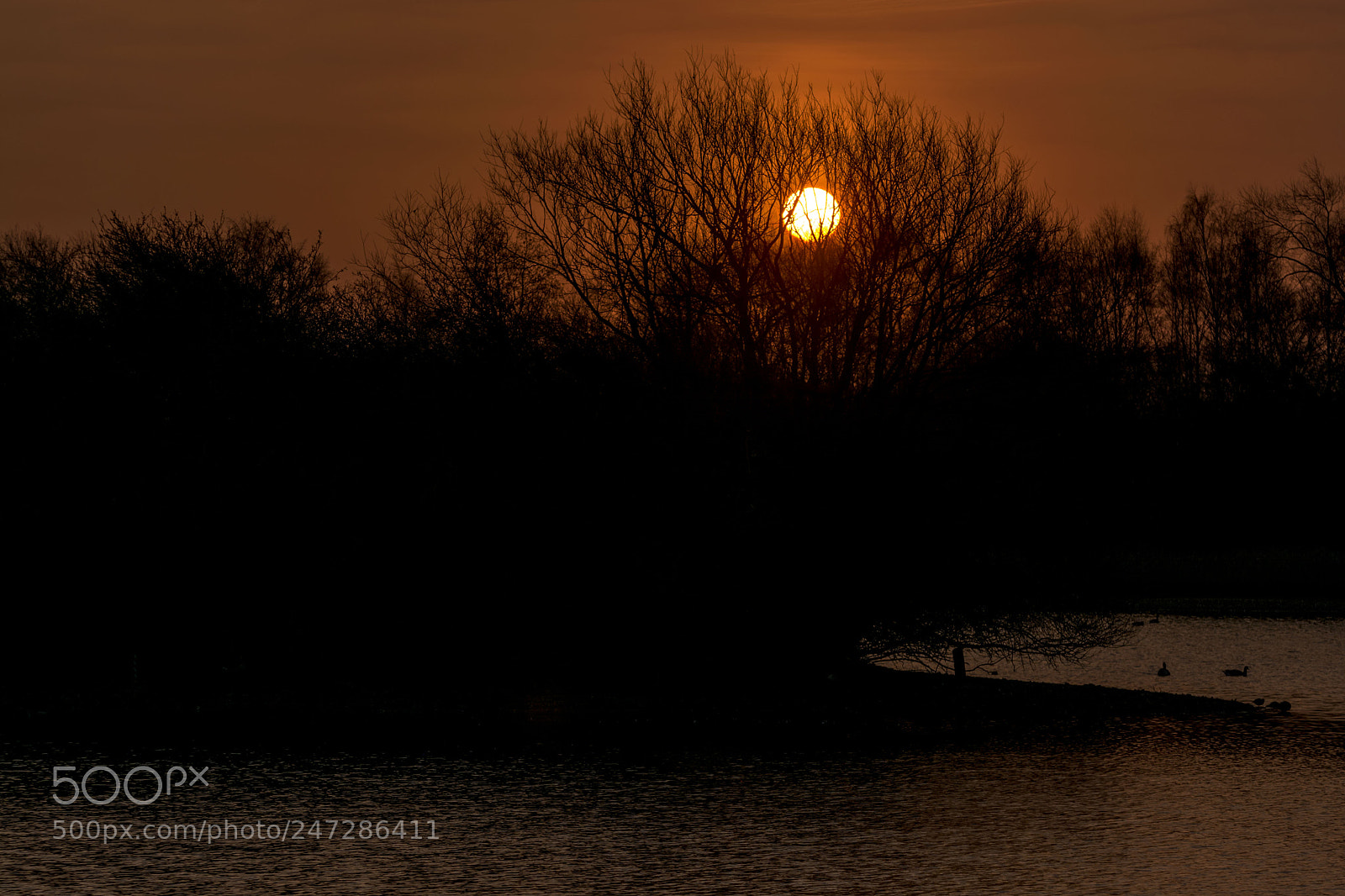 Nikon D7100 sample photo. Branston sunrise photography