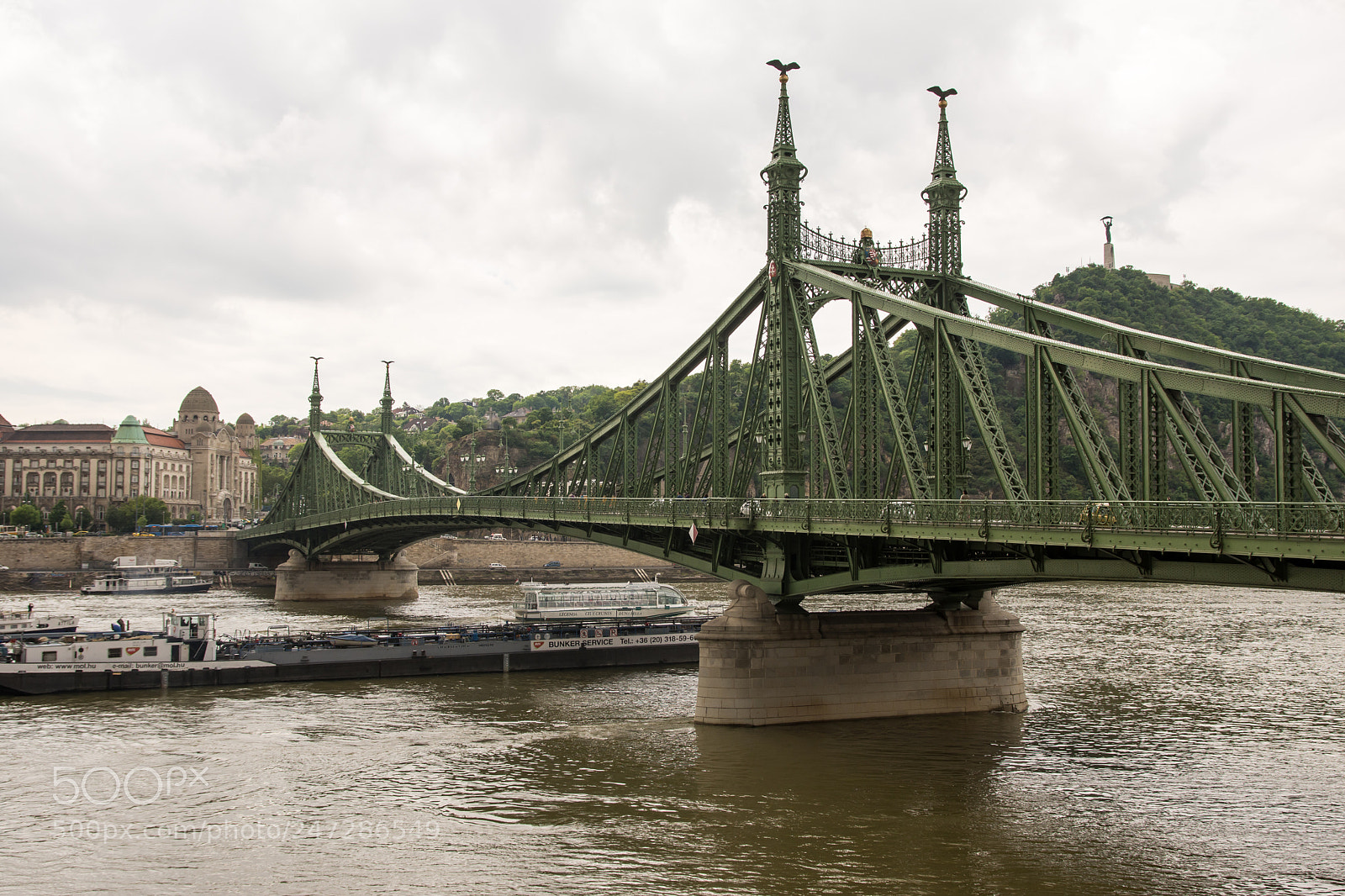 Nikon D7200 sample photo. Gloomy liberty bridge photography