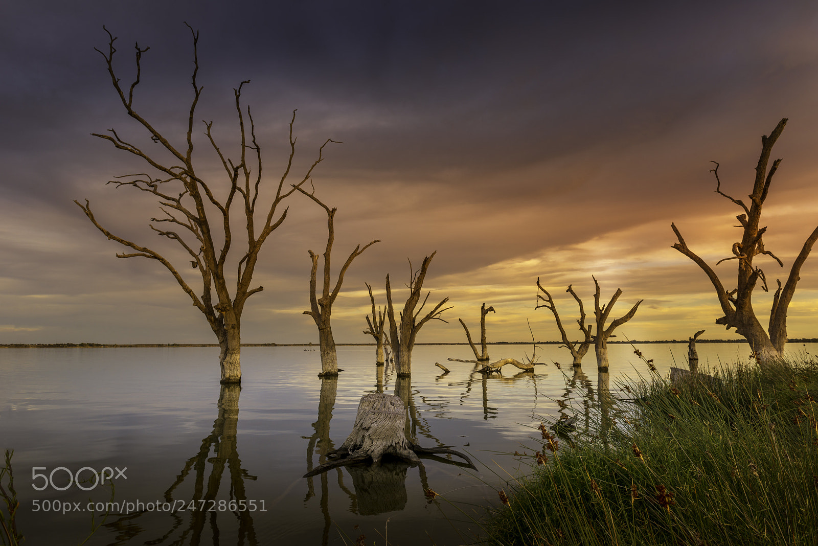 Nikon D610 sample photo. Sunset at the lake photography