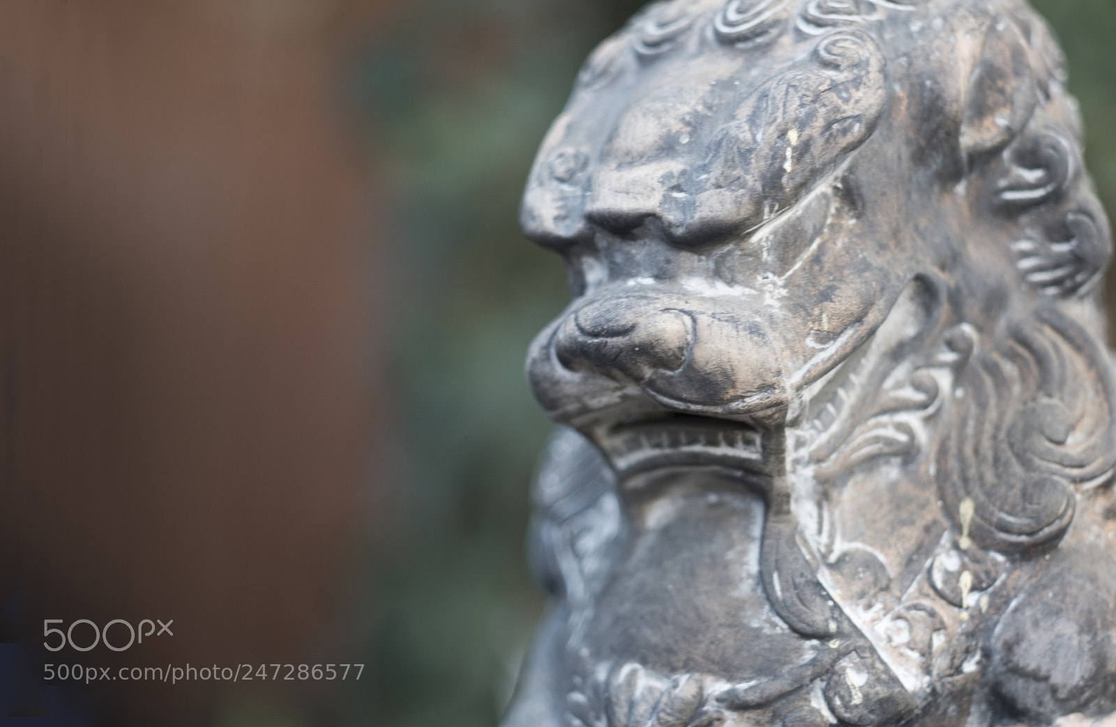 Nikon D7500 sample photo. Everyday art #10 photography
