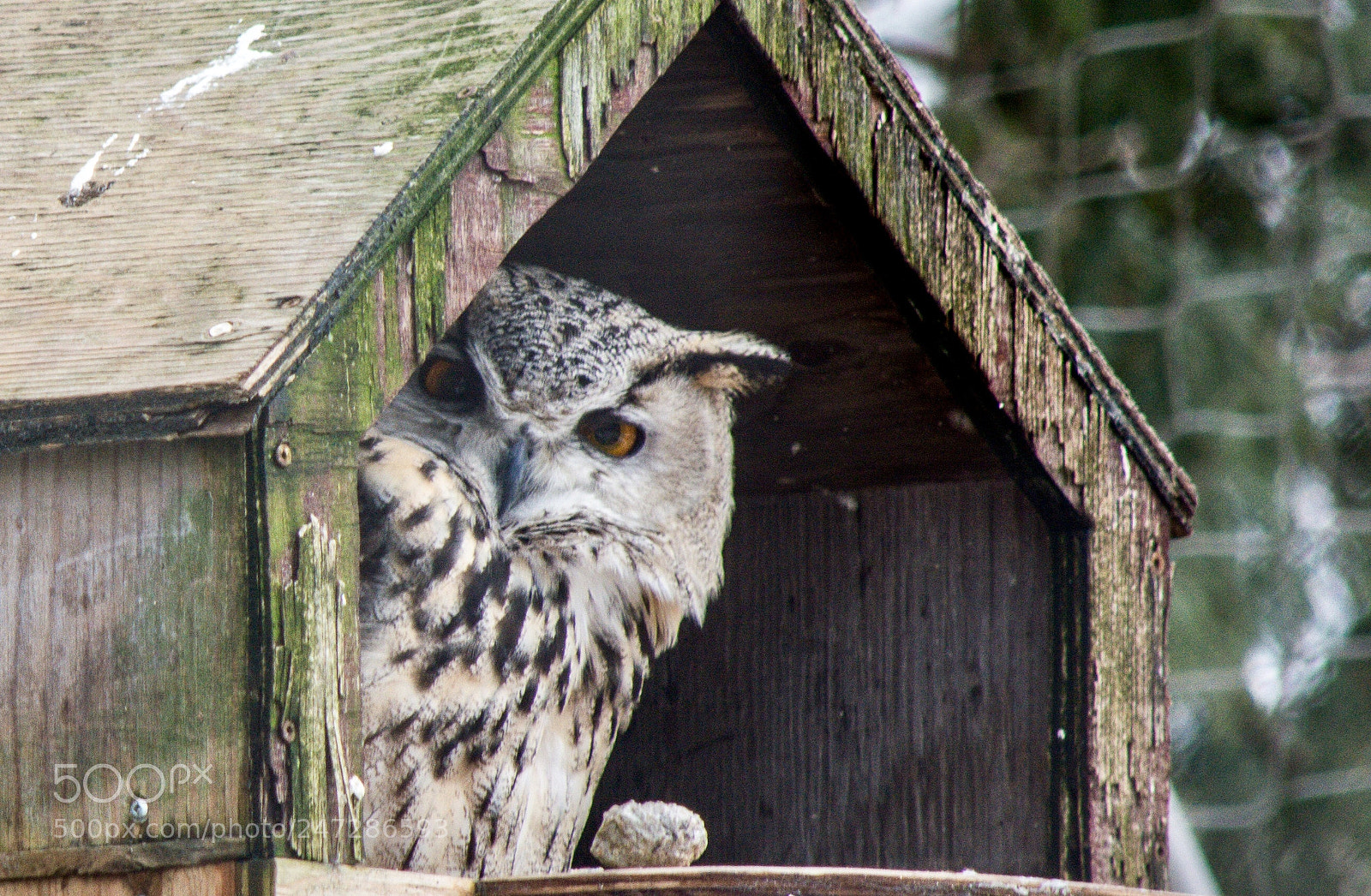 Nikon D5200 sample photo. I see you photography