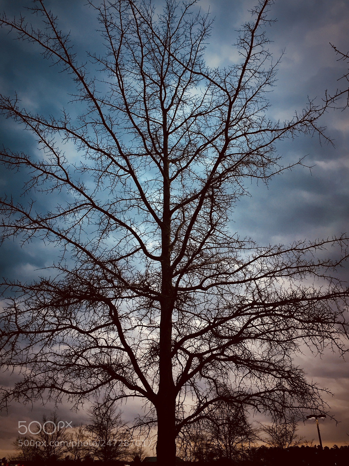 Apple iPhone 6 sample photo. Alone at the mall photography