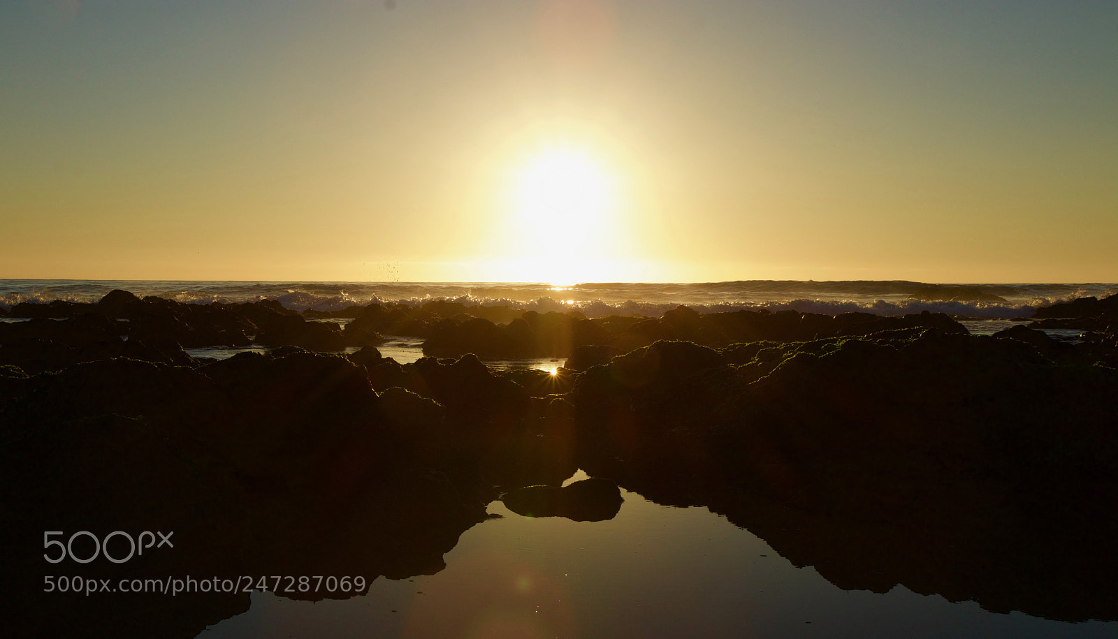 Canon EOS 80D sample photo. Golden tide photography
