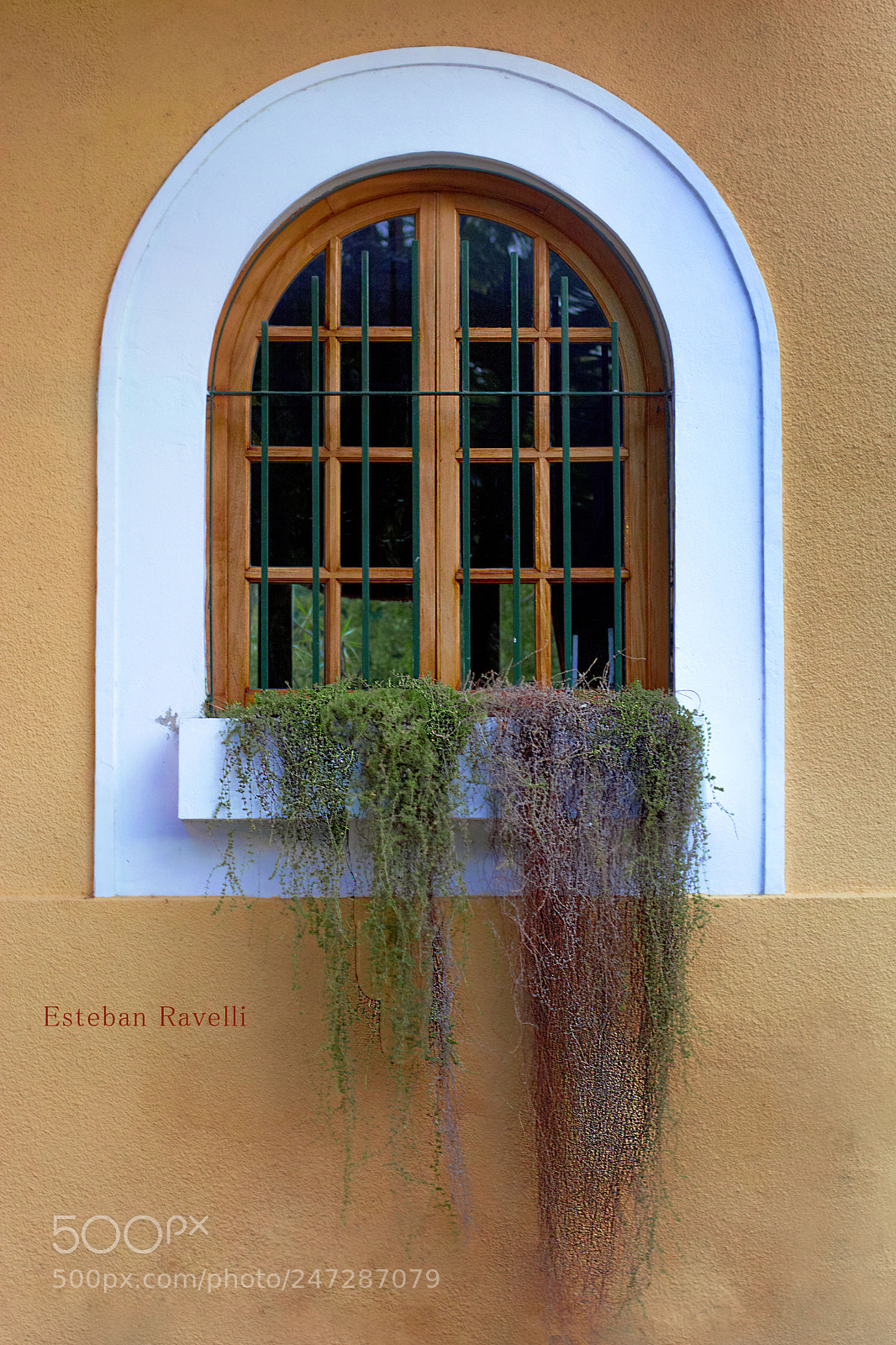 Nikon D5200 sample photo. Untitled photography