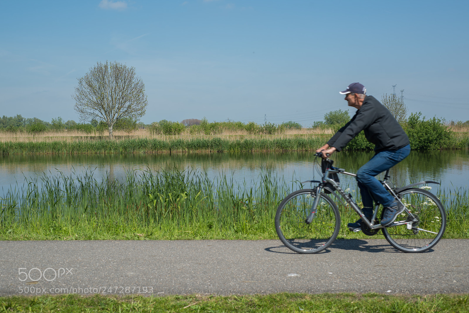 Nikon D810 sample photo. Kinderdijk photography