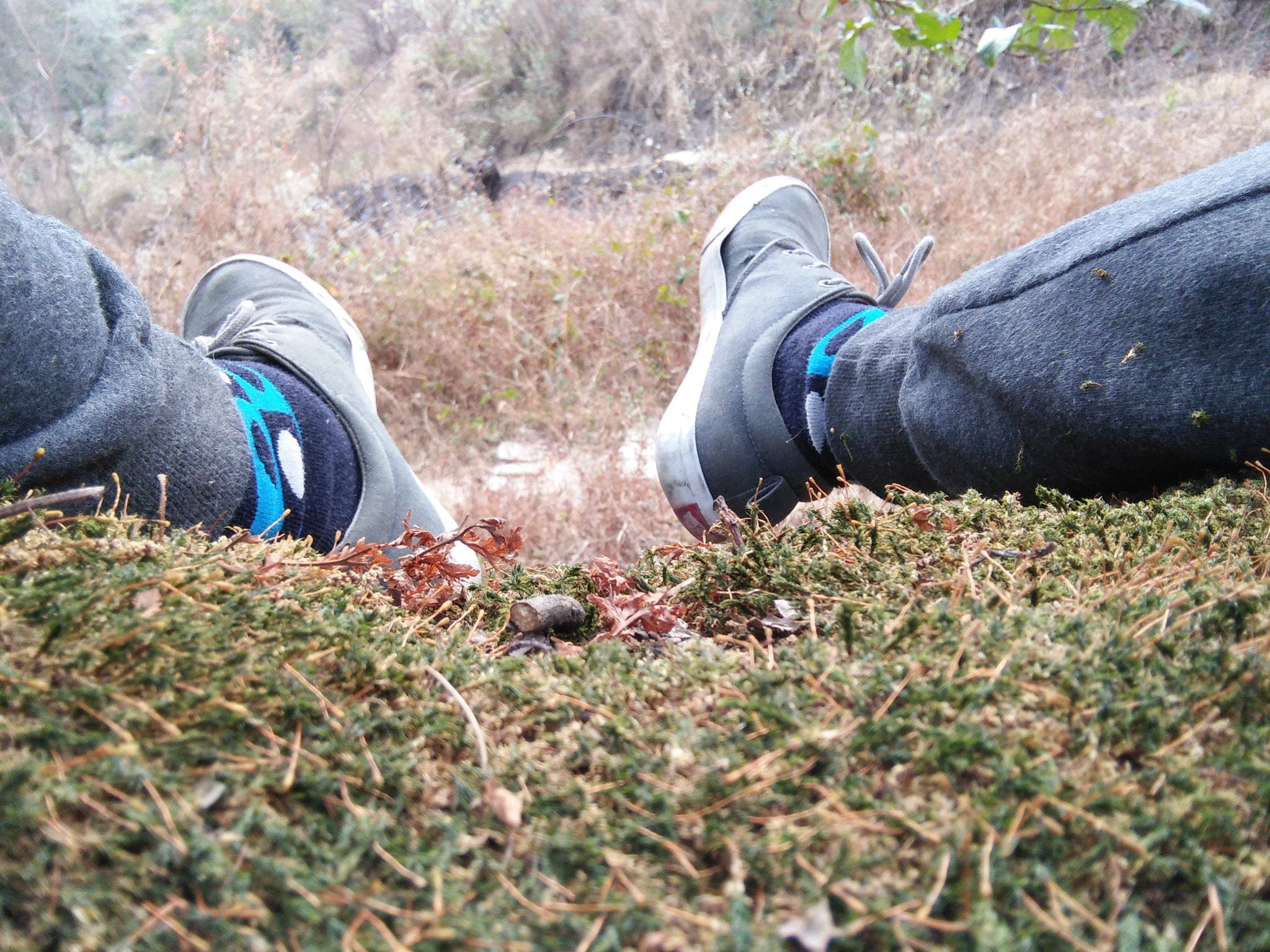 OPPO A33f sample photo. My place photography