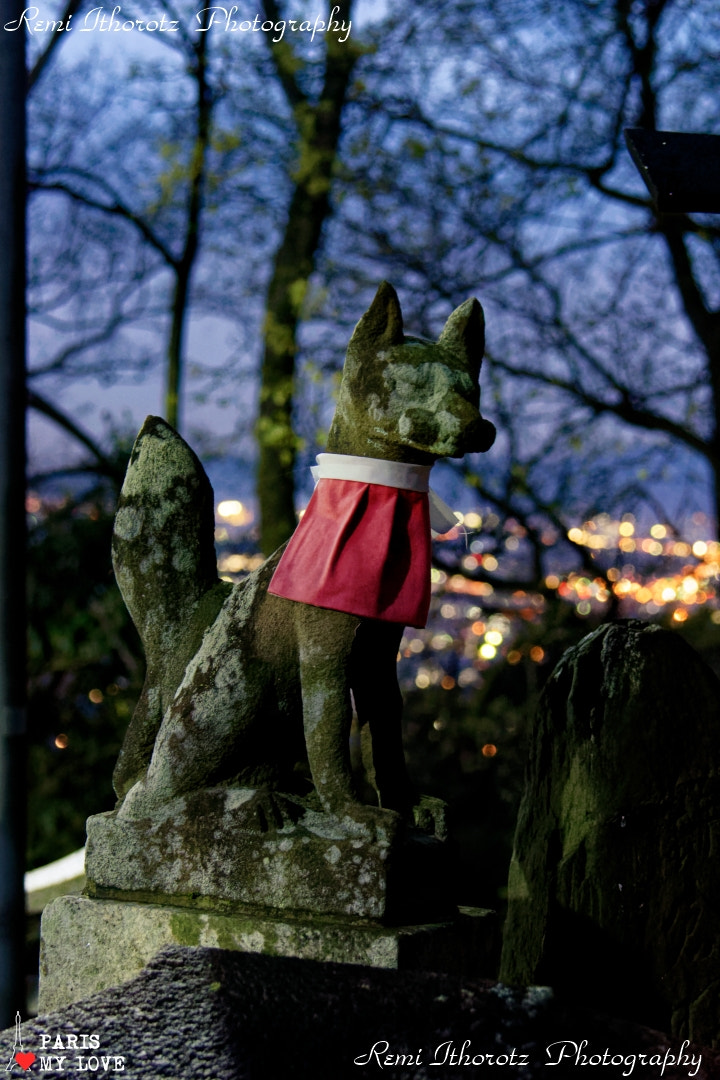 Nikon D7200 sample photo. Inari takes care even by night photography