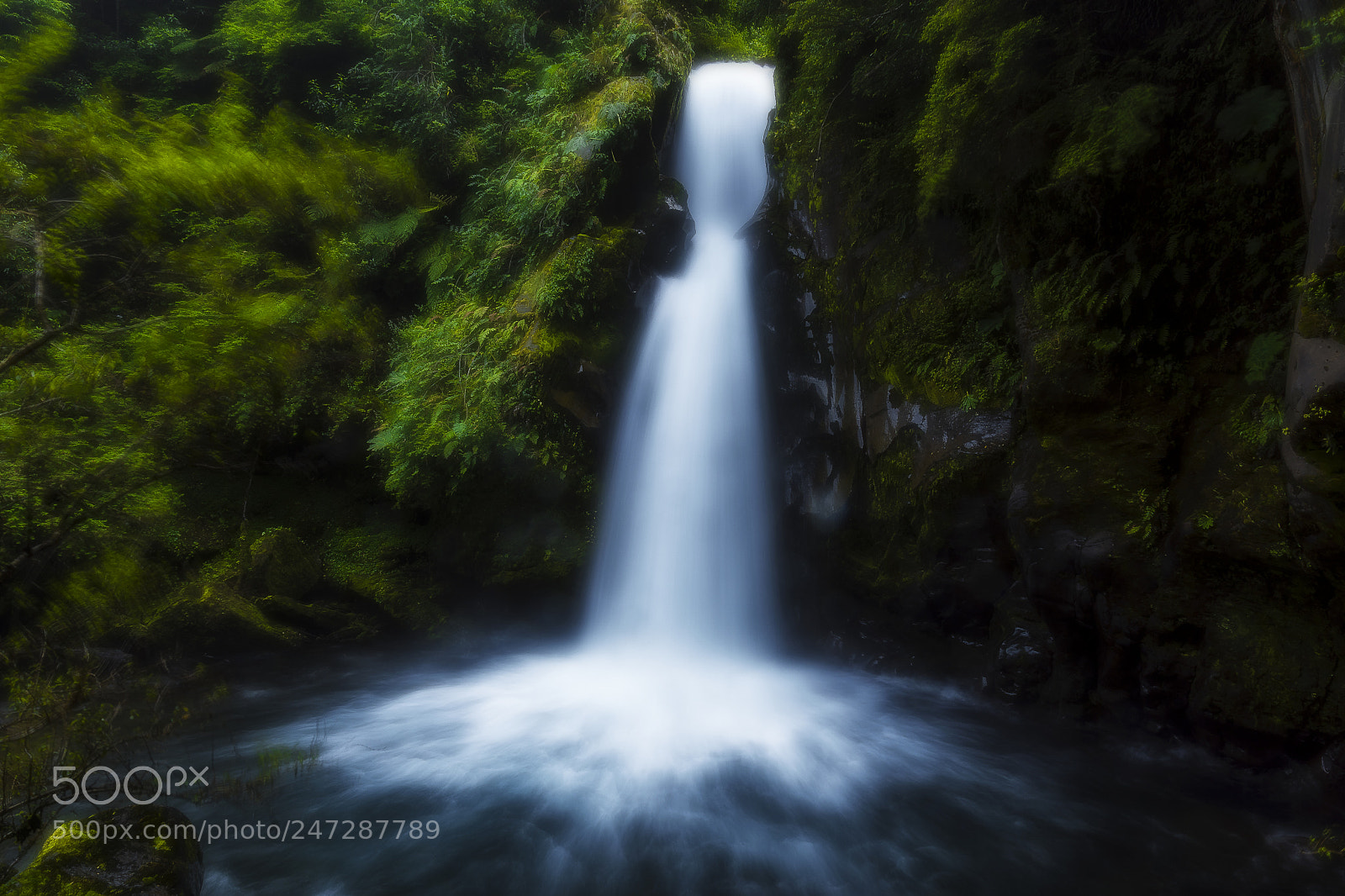 Sony ILCA-77M2 sample photo. Salto del puma photography