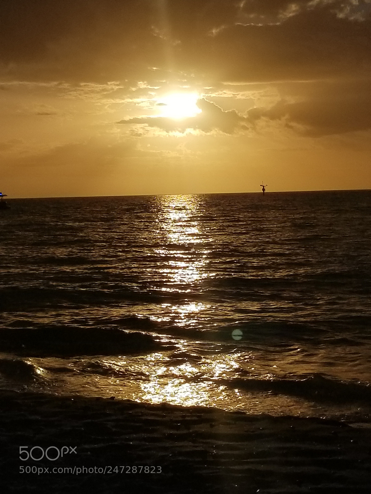 Samsung Galaxy S8+ sample photo. Untitled photography
