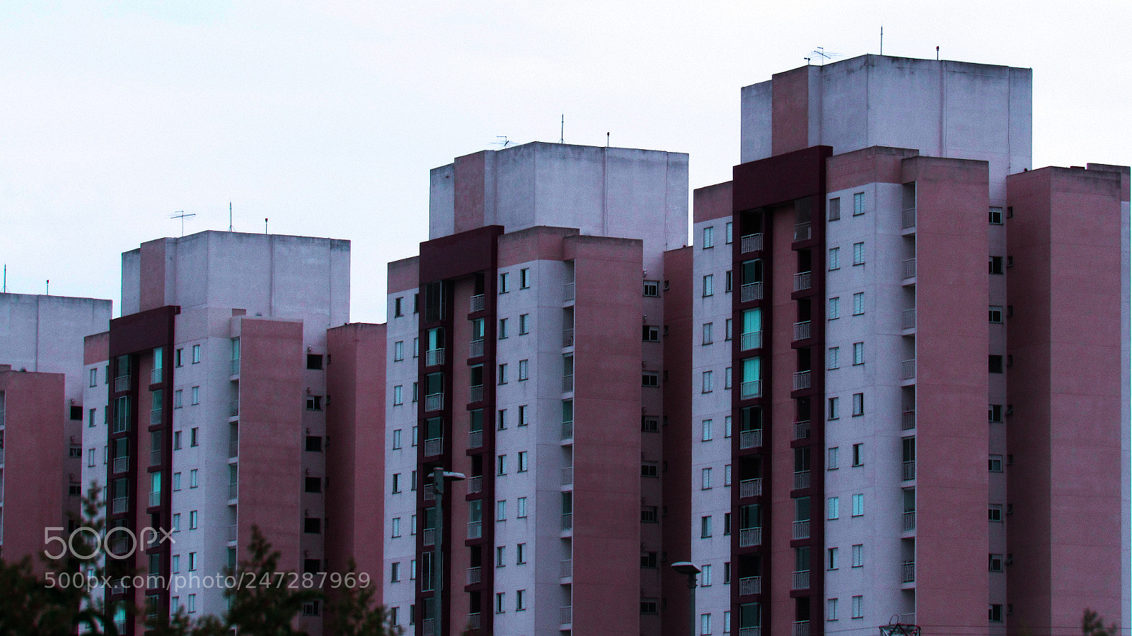 Canon PowerShot SX520 HS sample photo. Img photography