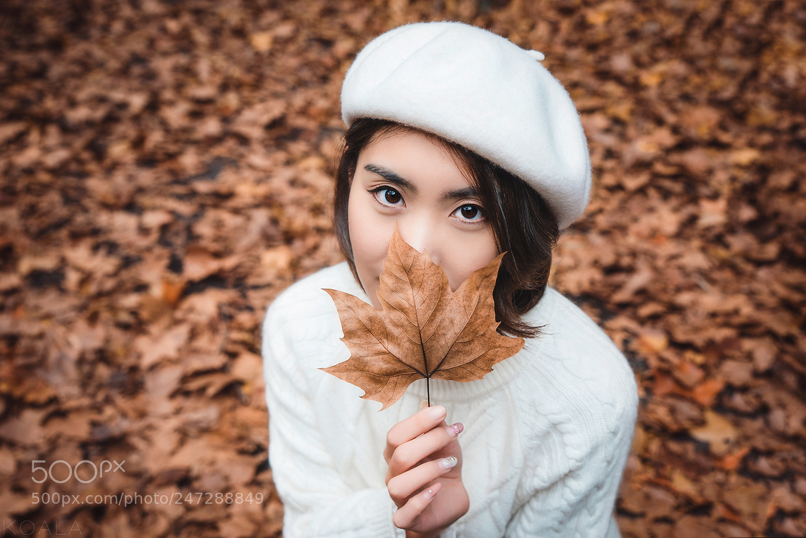 Nikon D810 sample photo. 眼神 photography