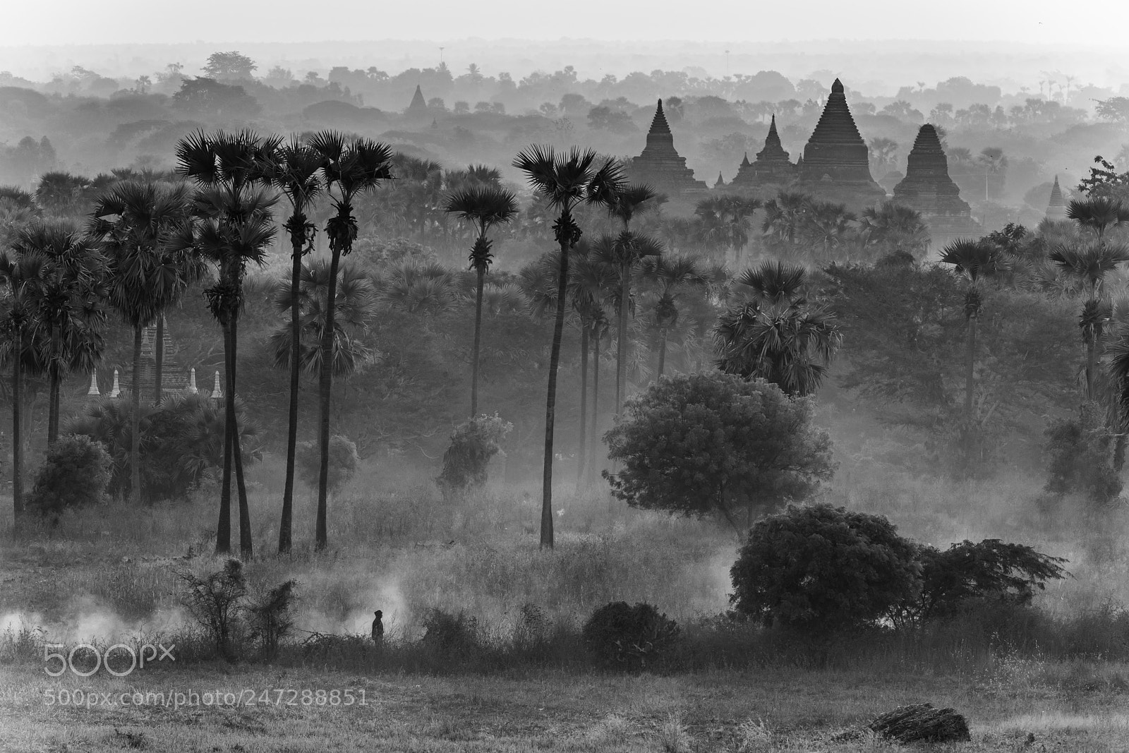 Nikon D850 sample photo. Bagan photography
