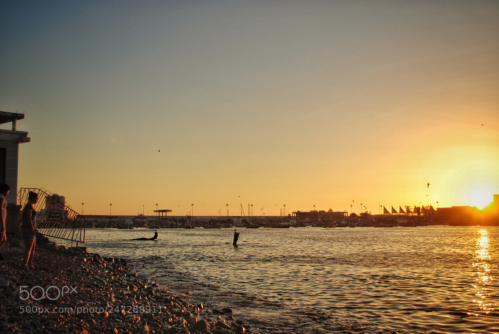Nikon D3000 sample photo. S u n s photography