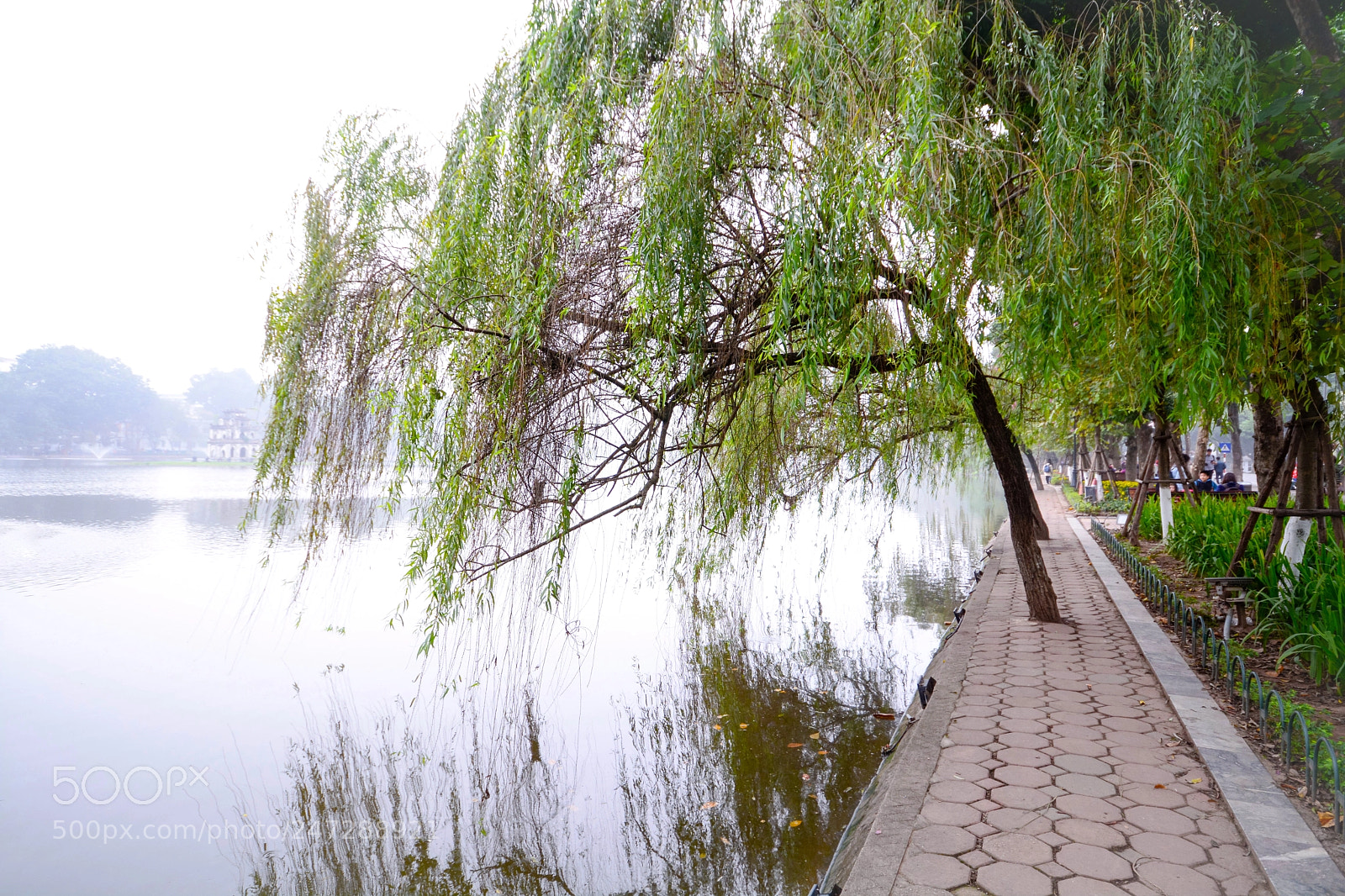 Nikon D7100 sample photo. Untitled photography