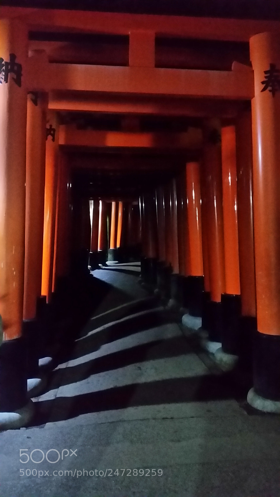 Samsung Galaxy S5 sample photo. Fushimi temple at night photography