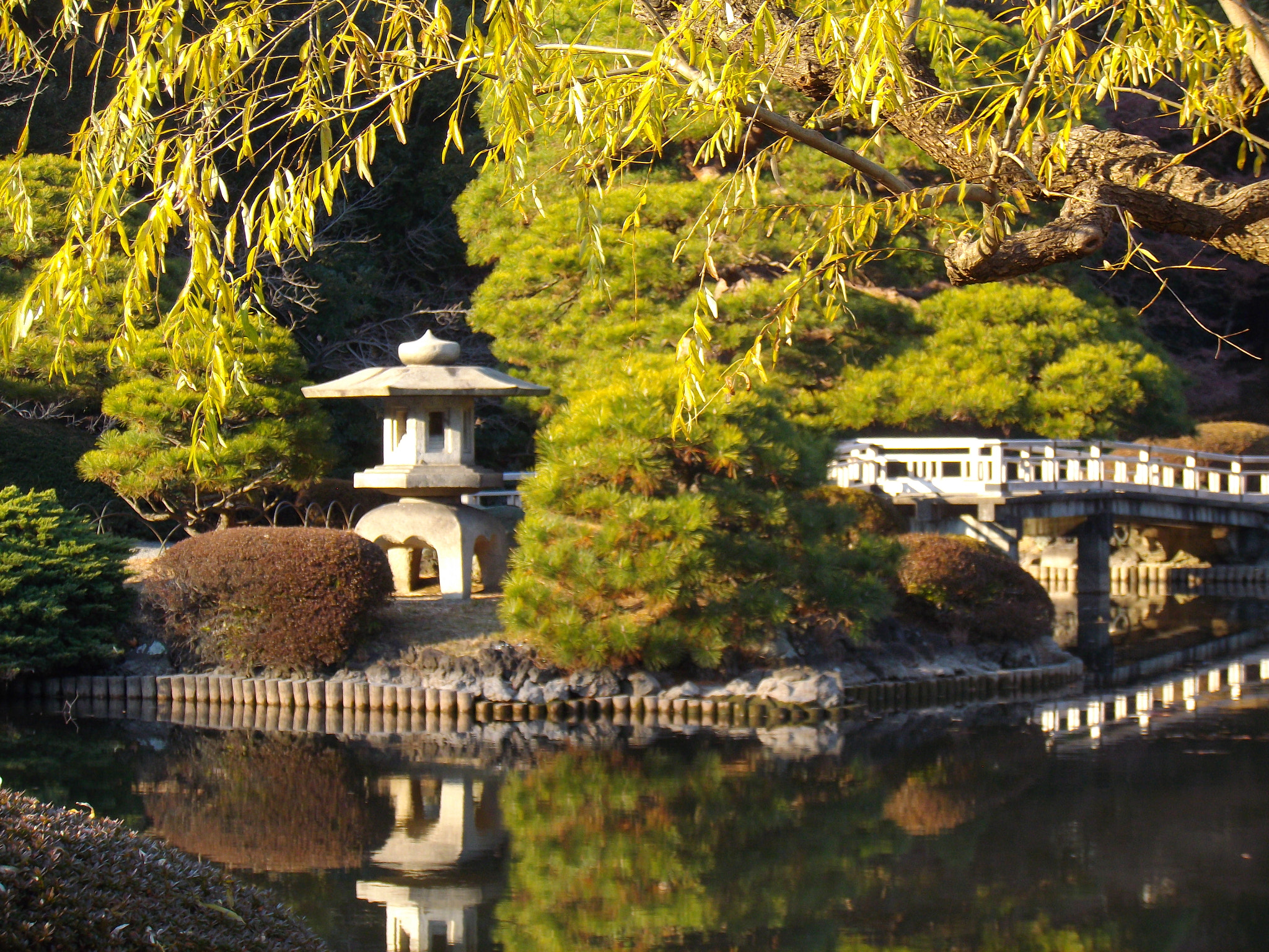 Pentax Optio VS20 sample photo. Quiet spaces tokyo photography