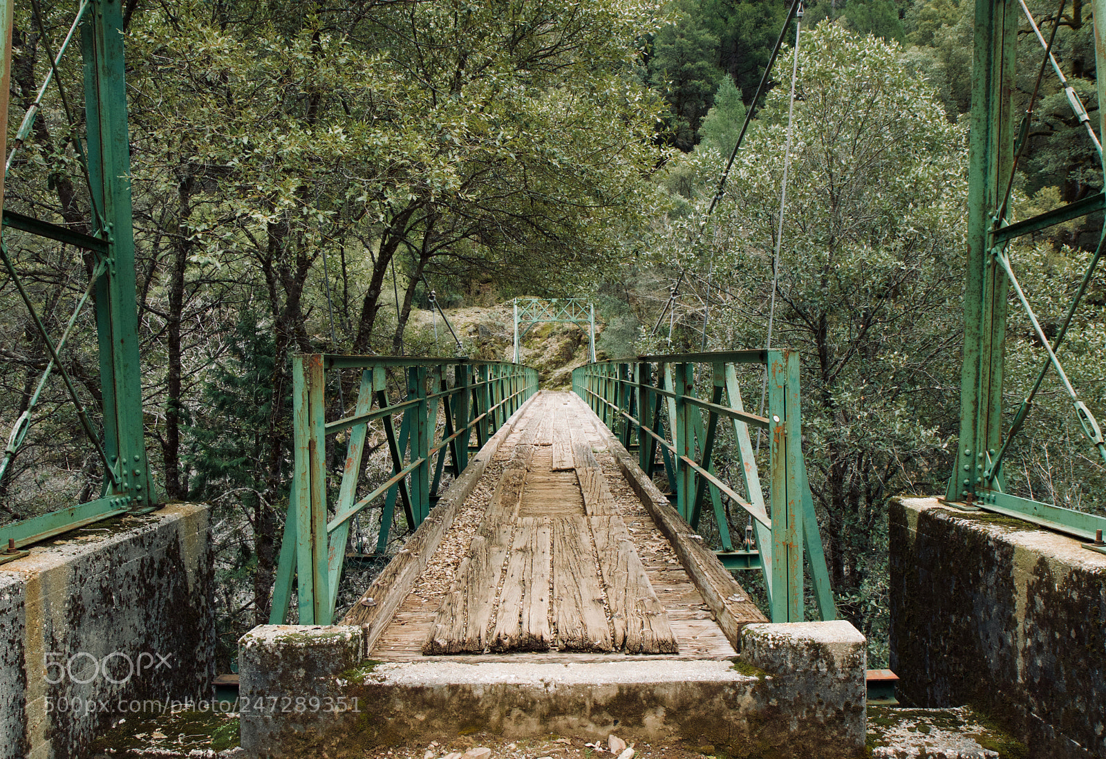 Canon EOS 80D sample photo. Bridge to oz photography