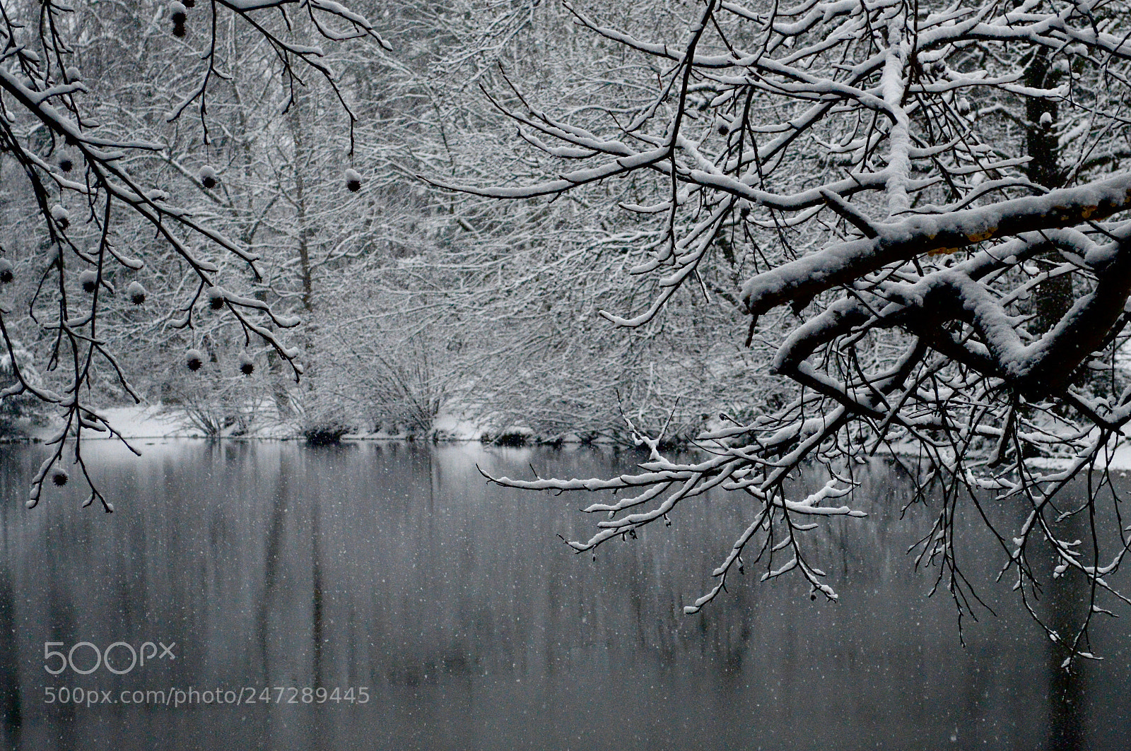 Nikon D3200 sample photo. Snow xi photography