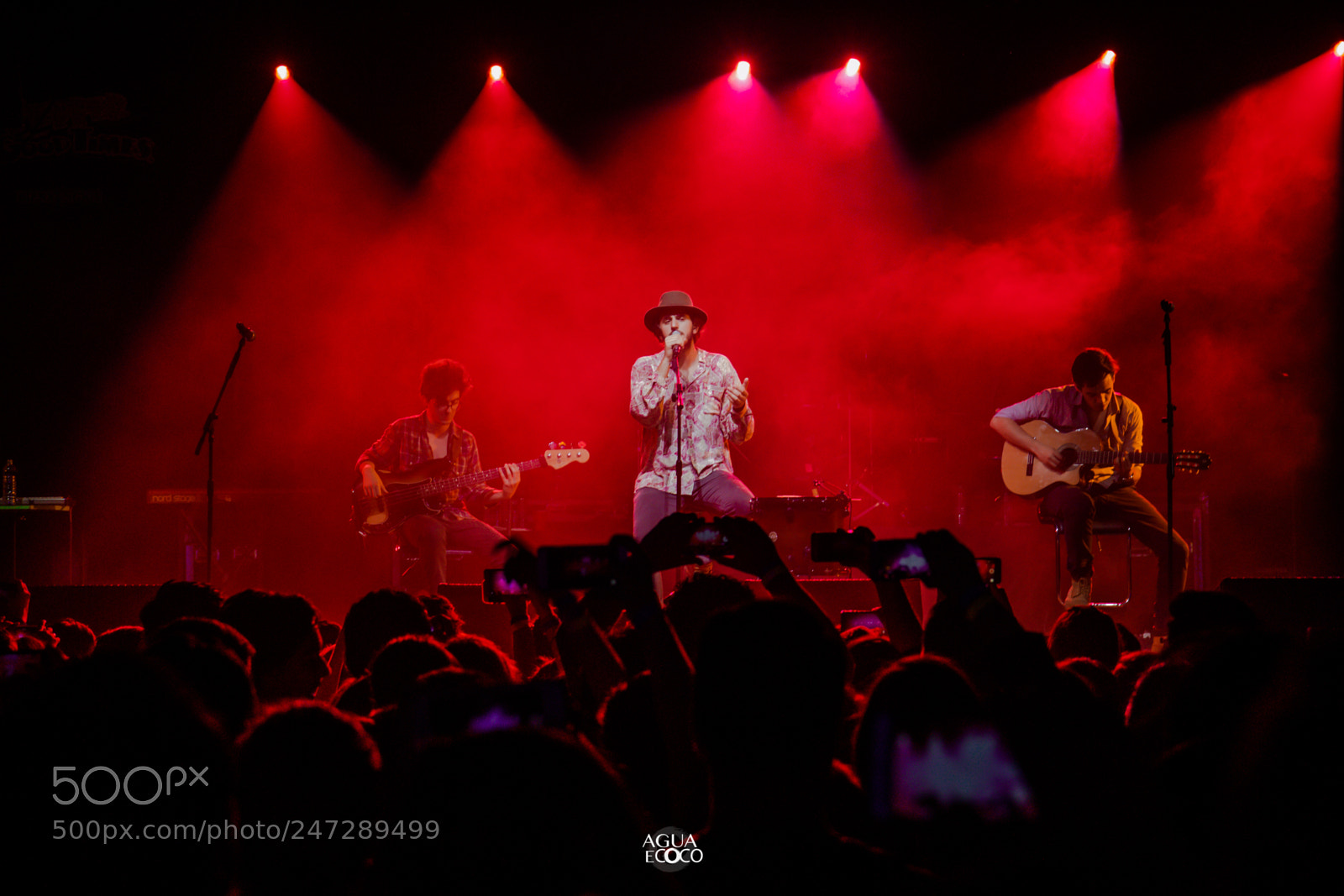 Canon EOS 7D sample photo. Morat & entrelineas photography