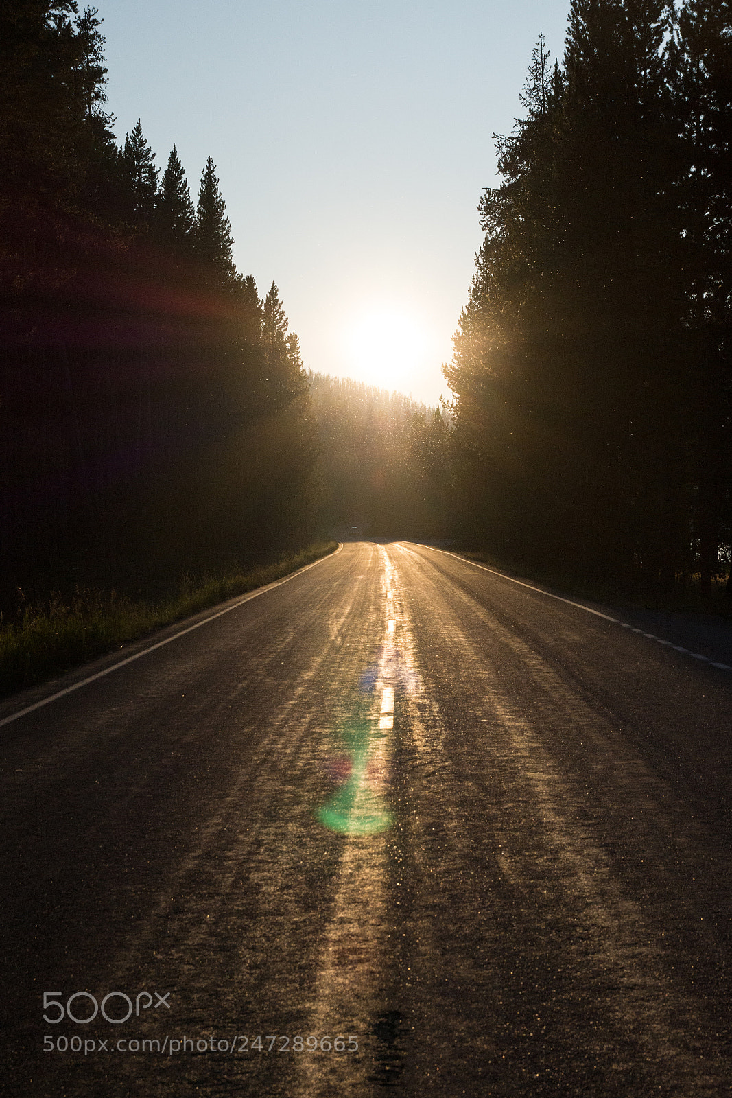 Sony SLT-A77 sample photo. Golden hour in yellowstone photography