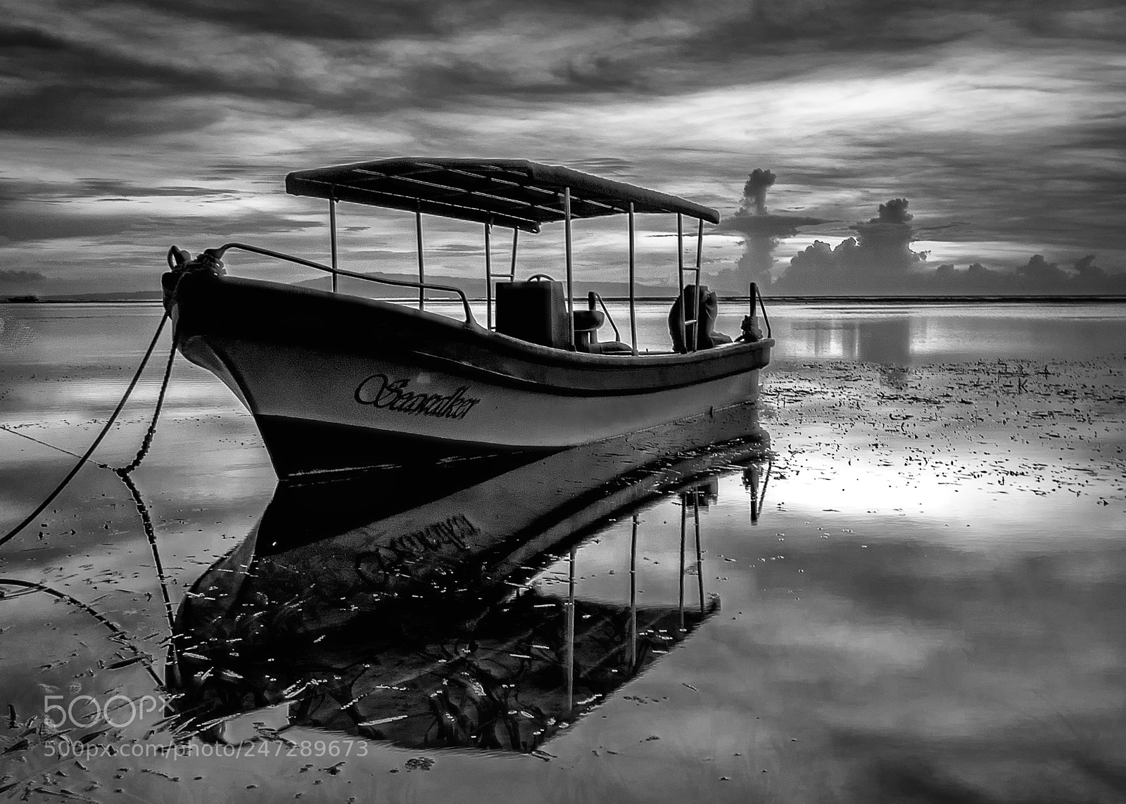Nikon D7200 sample photo. Lonely photography