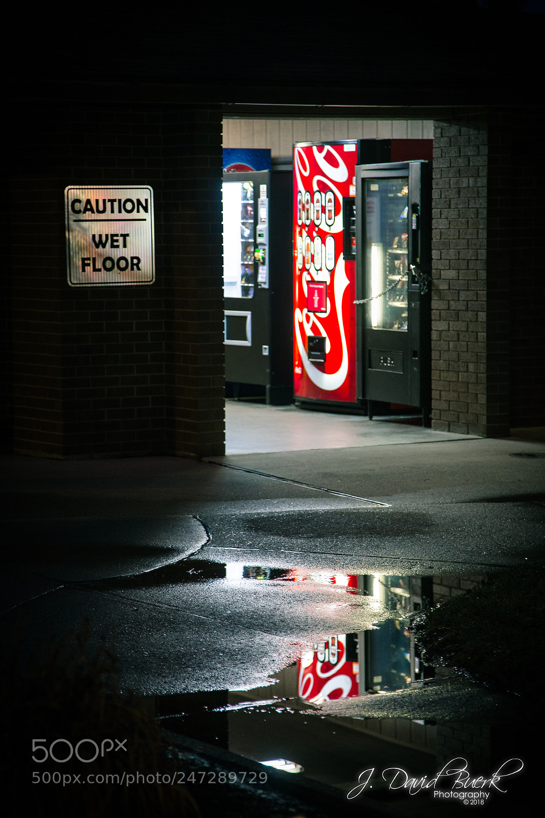 Canon EOS-1D X sample photo. Warmer in the winter photography