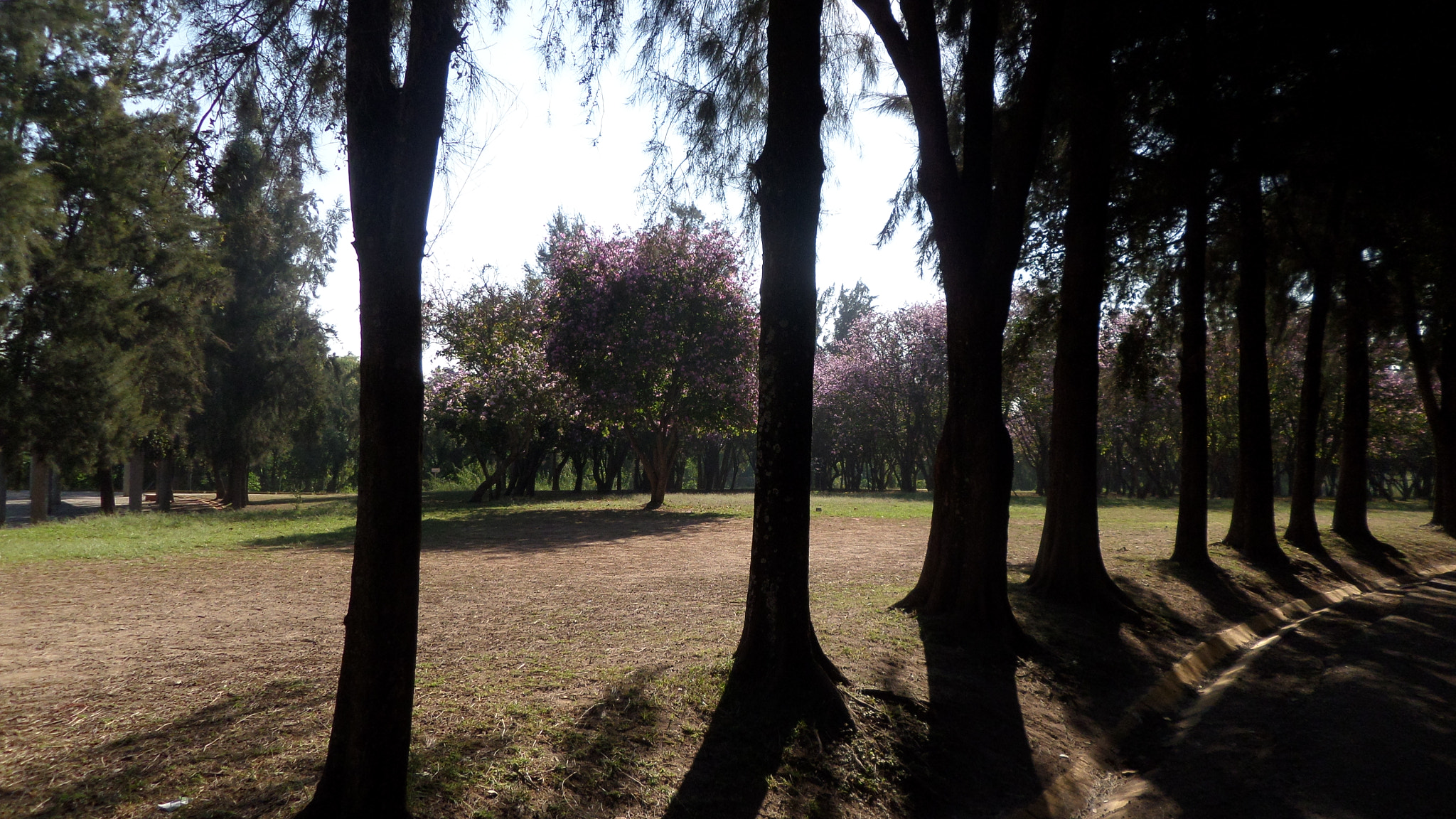 Samsung WB30F/WB31F/WB32F sample photo. Tan vital como el agua... photography