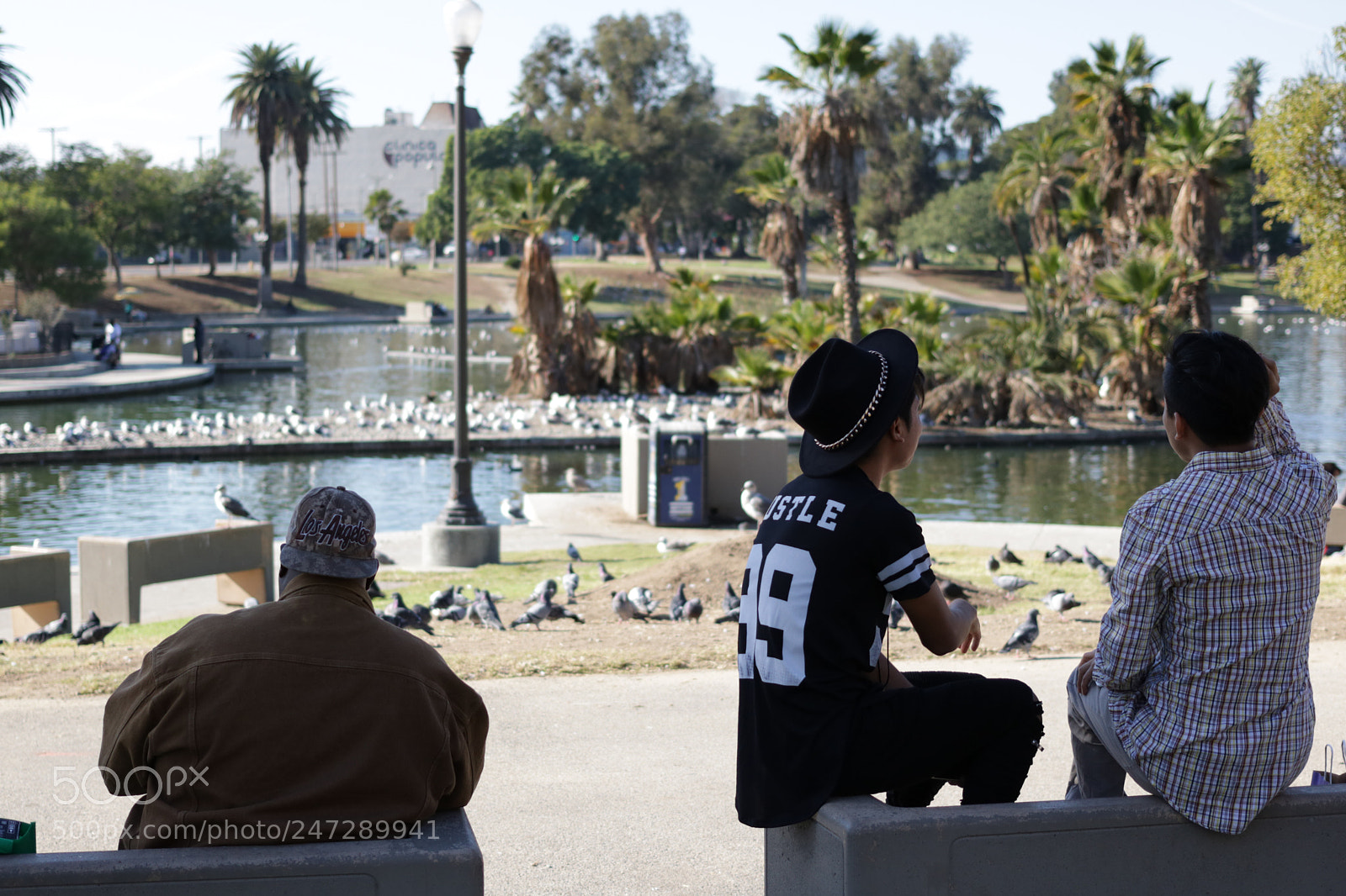 Canon EOS 750D (EOS Rebel T6i / EOS Kiss X8i) sample photo. Img photography