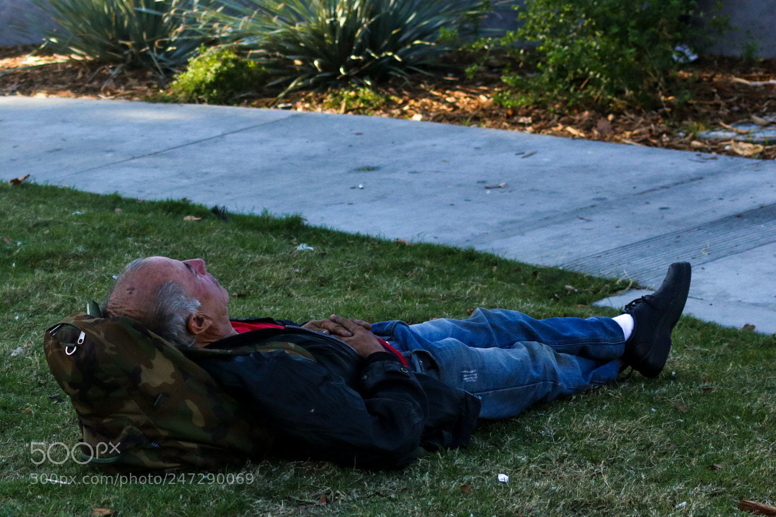 Canon EOS 750D (EOS Rebel T6i / EOS Kiss X8i) sample photo. Img photography