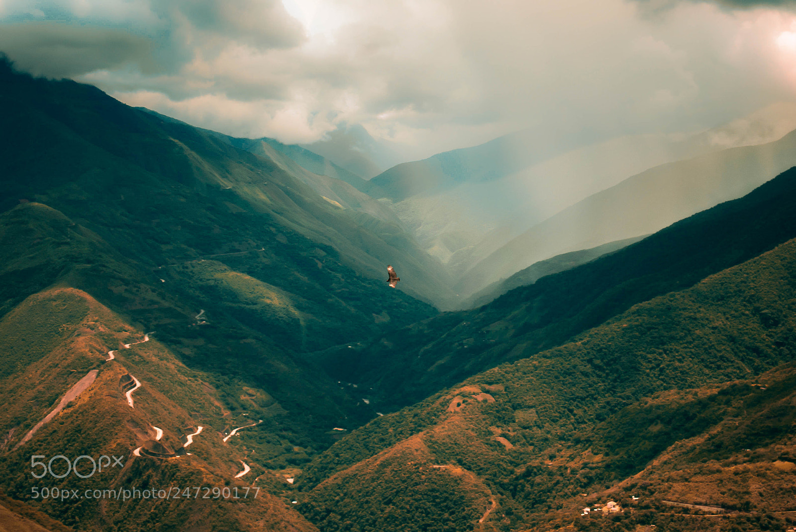 Nikon D3000 sample photo. Coroico, bolivia photography