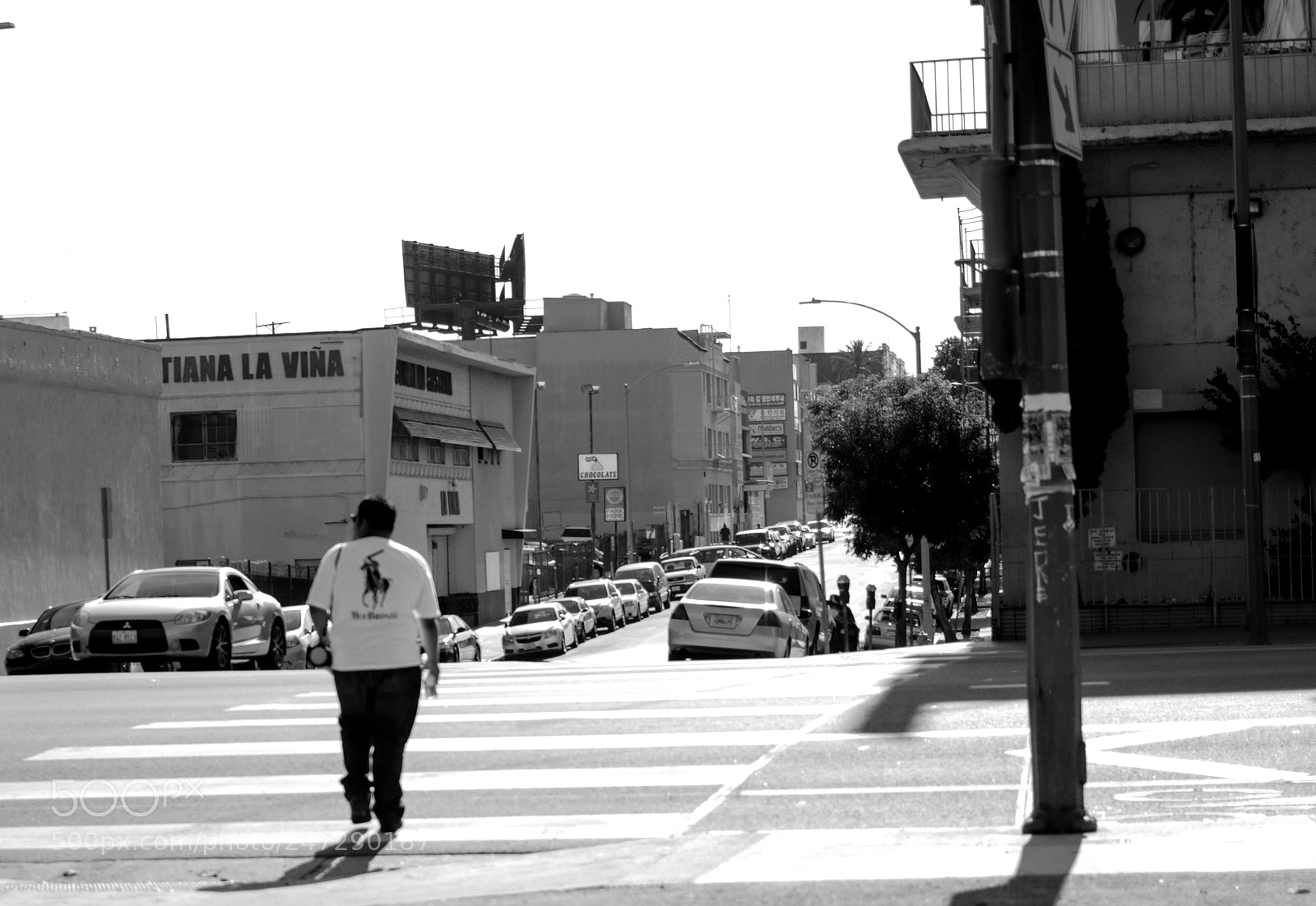 Canon EOS 750D (EOS Rebel T6i / EOS Kiss X8i) sample photo. Img photography