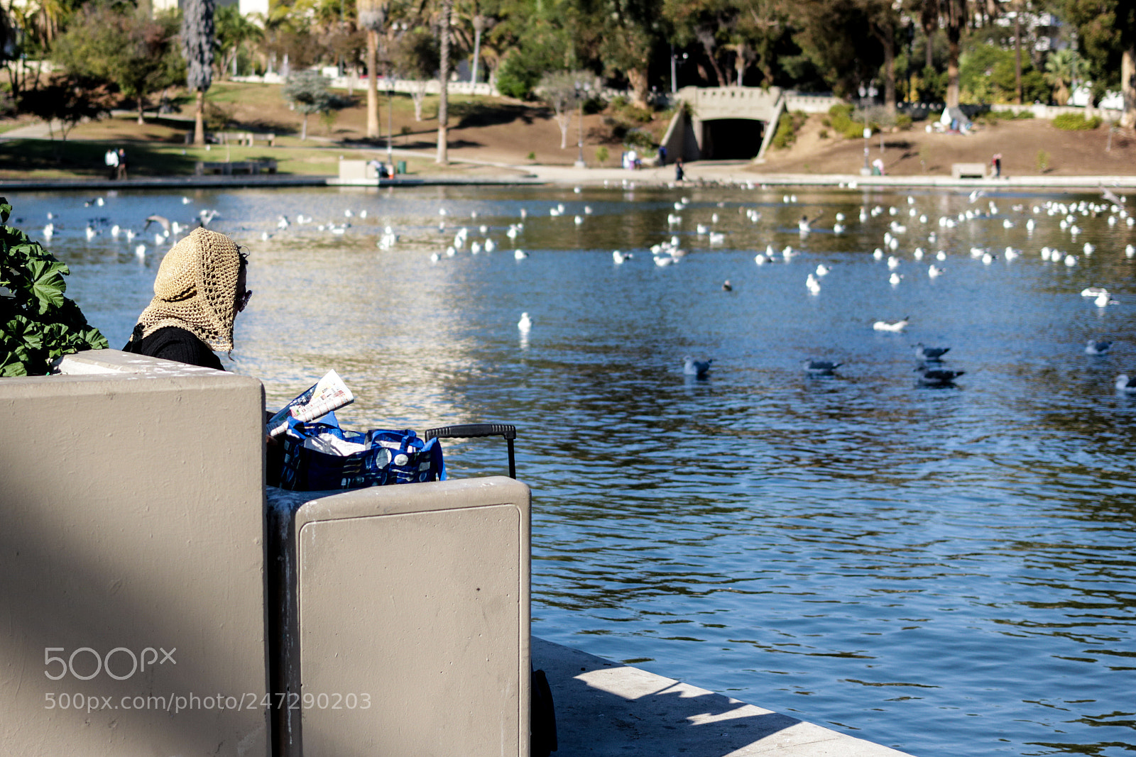 Canon EOS 750D (EOS Rebel T6i / EOS Kiss X8i) sample photo. Img photography