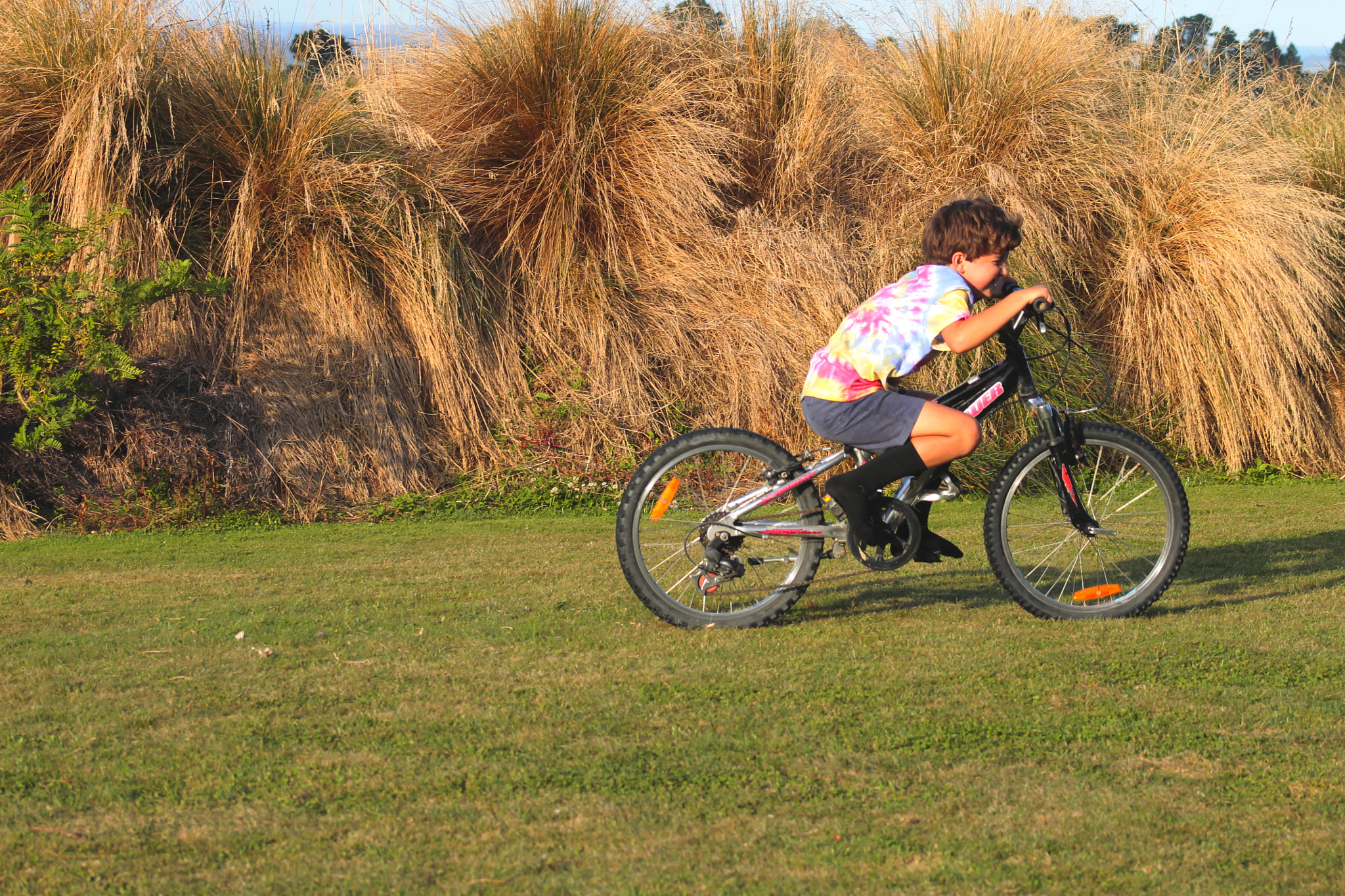 EF75-300mm f/4-5.6 sample photo. Escaping on my bicycle photography