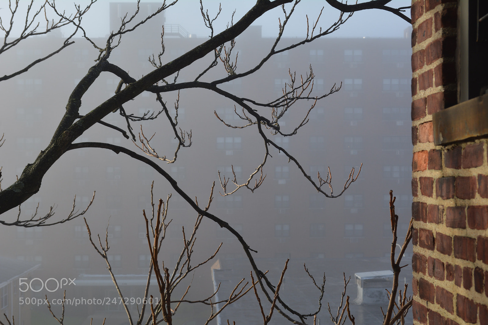 Nikon D5200 sample photo. Untitled photography