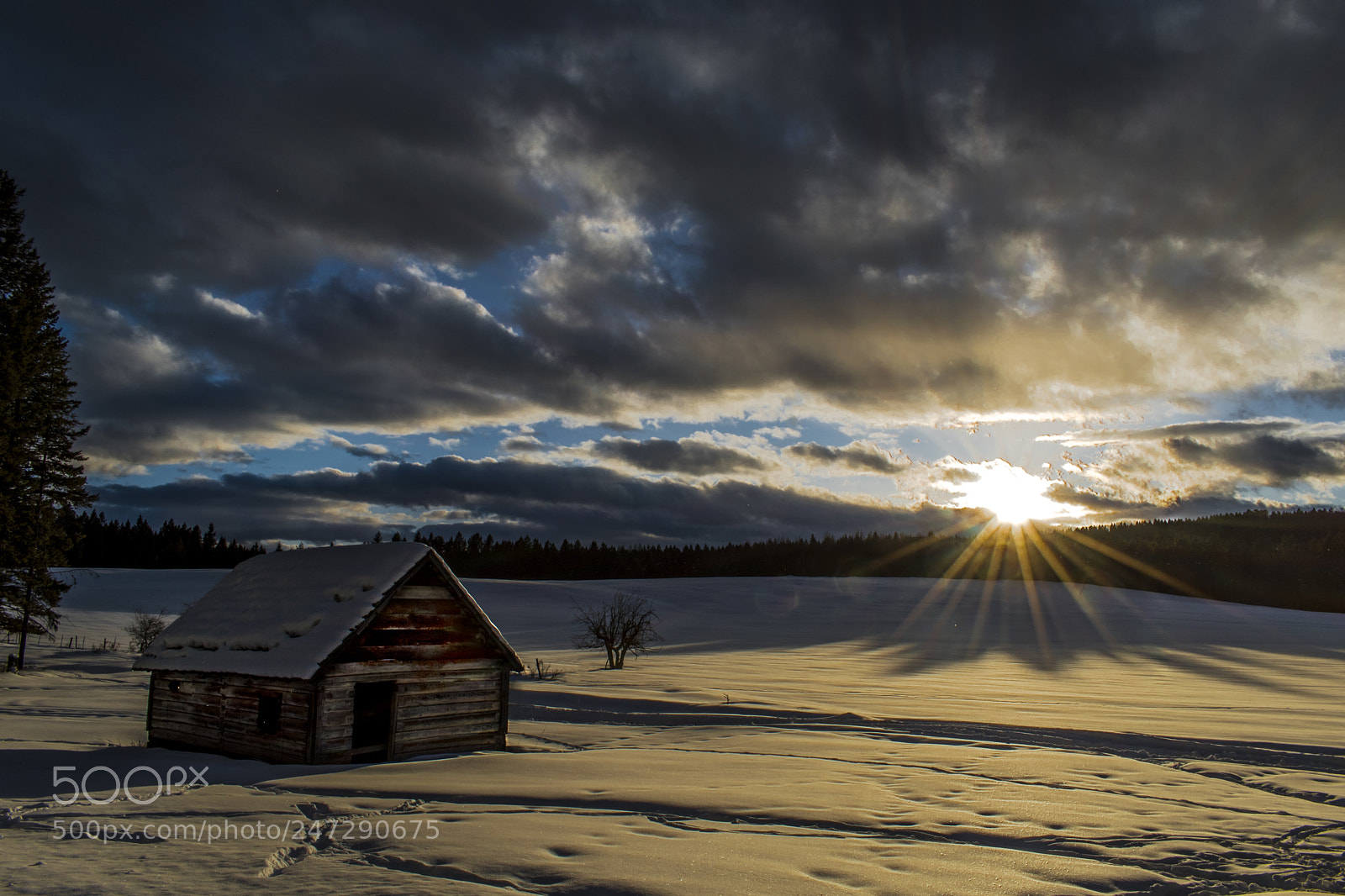 Nikon D5600 sample photo. Somewhere in montana photography