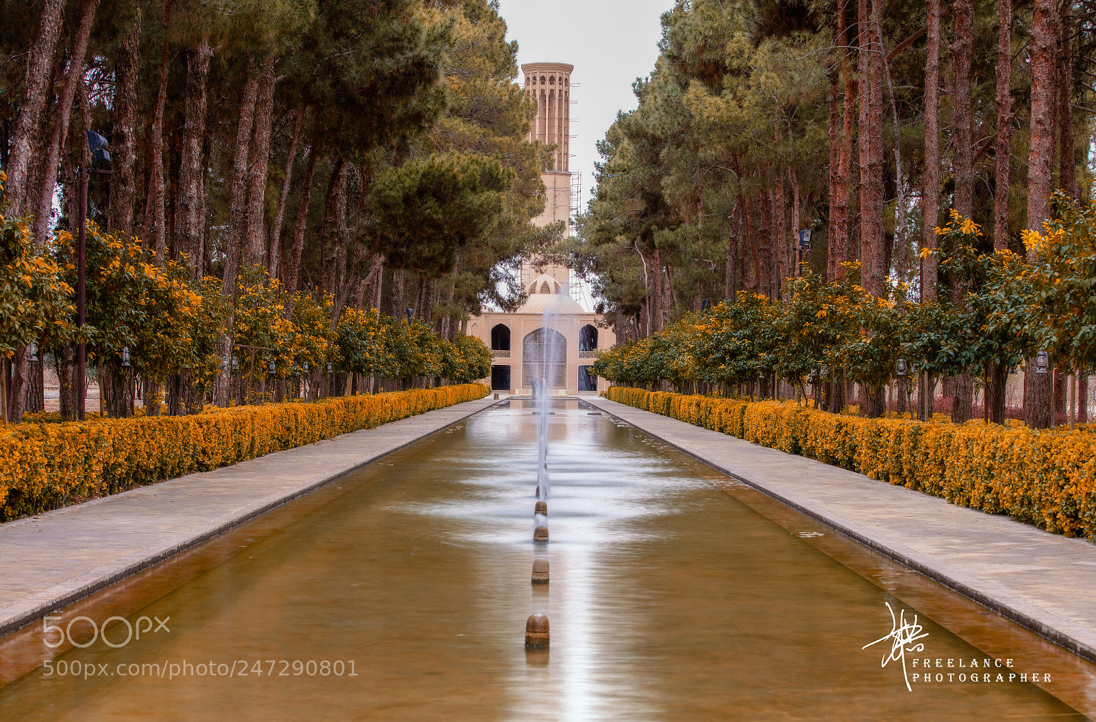 Canon EOS 5DS sample photo. Dowlat abad garden in photography