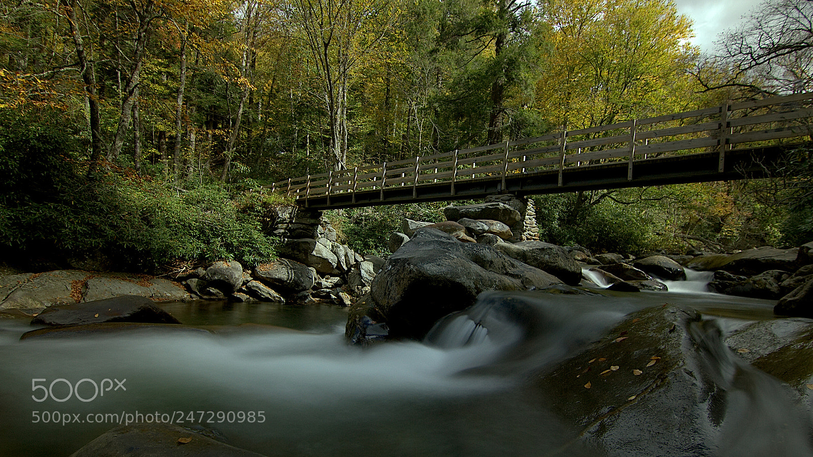 Canon EOS 550D (EOS Rebel T2i / EOS Kiss X4) sample photo. Chimney tops trail 1 photography