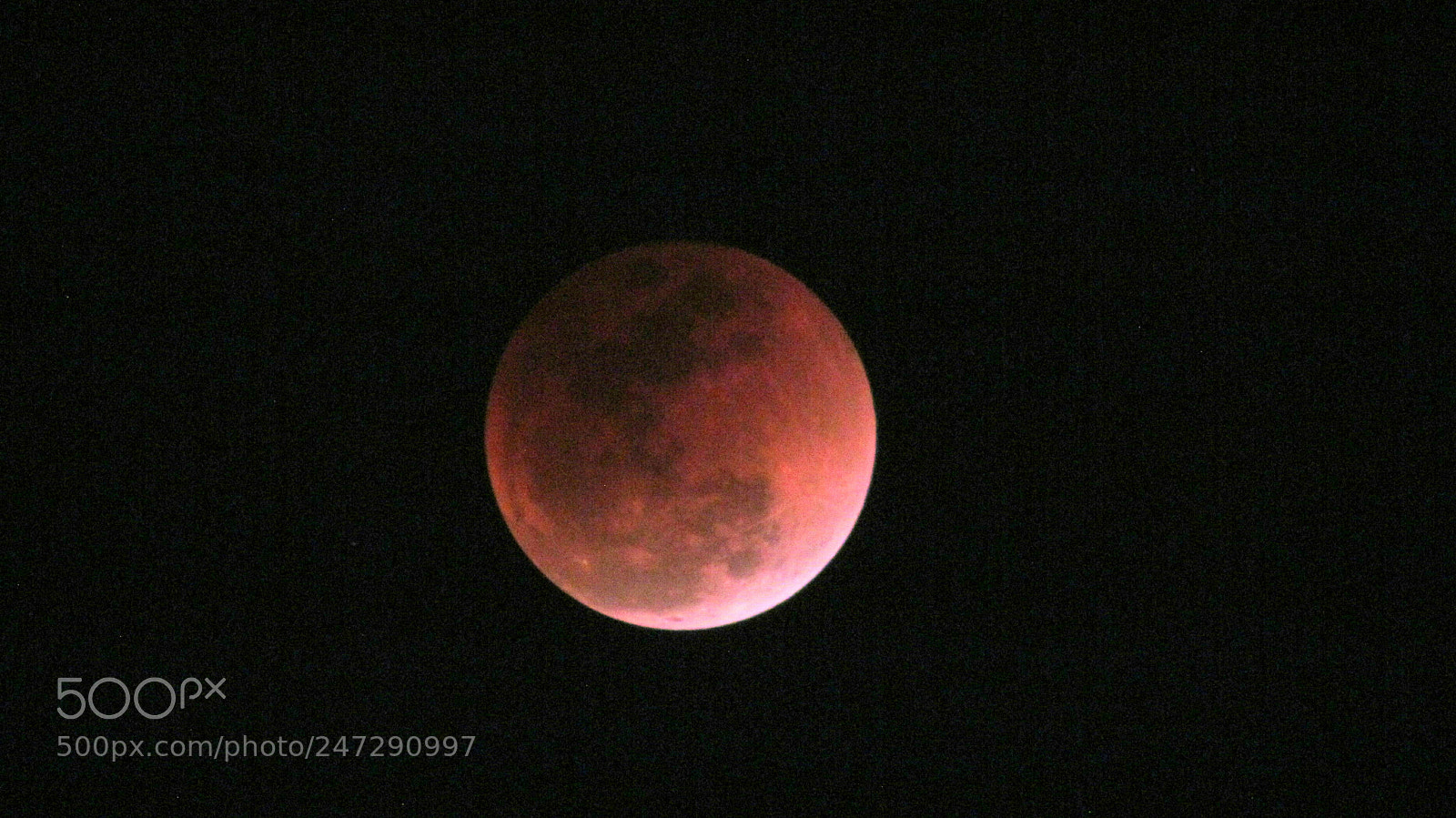 Canon PowerShot SX30 IS sample photo. Untitled photography