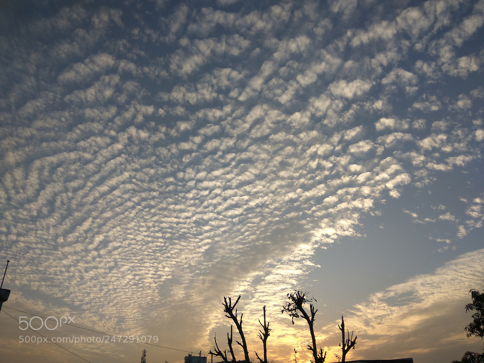 Xiaomi Redmi Note3 sample photo. Untitled photography