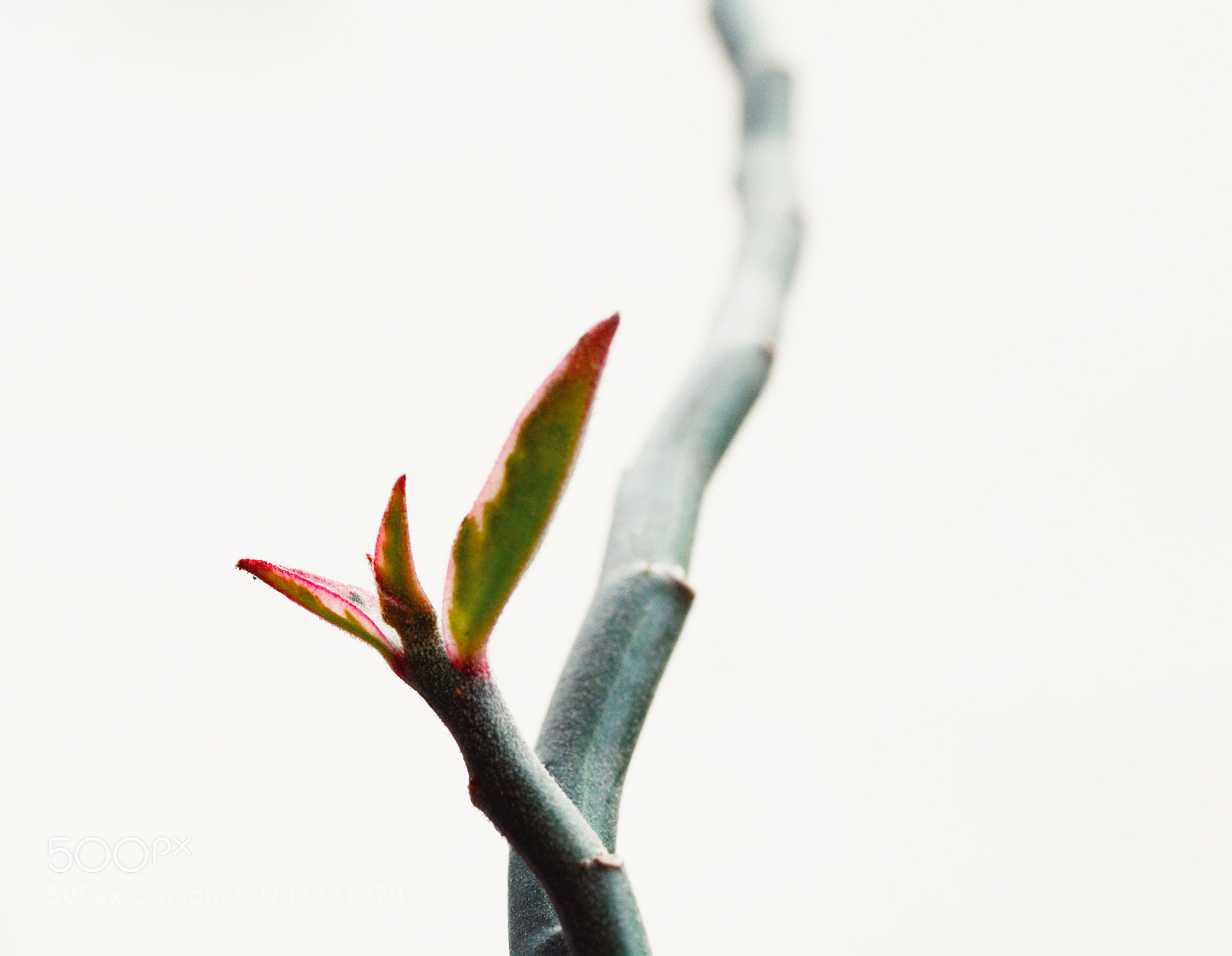 Nikon D7100 sample photo. Untitled photography