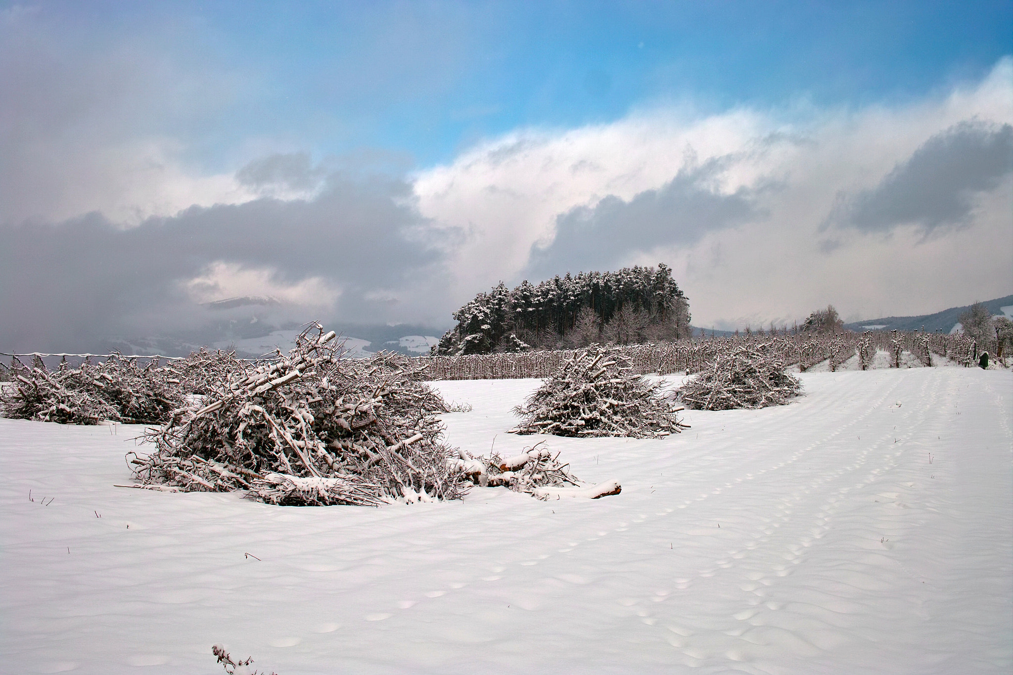 Sigma DP2 sample photo. Winter photography