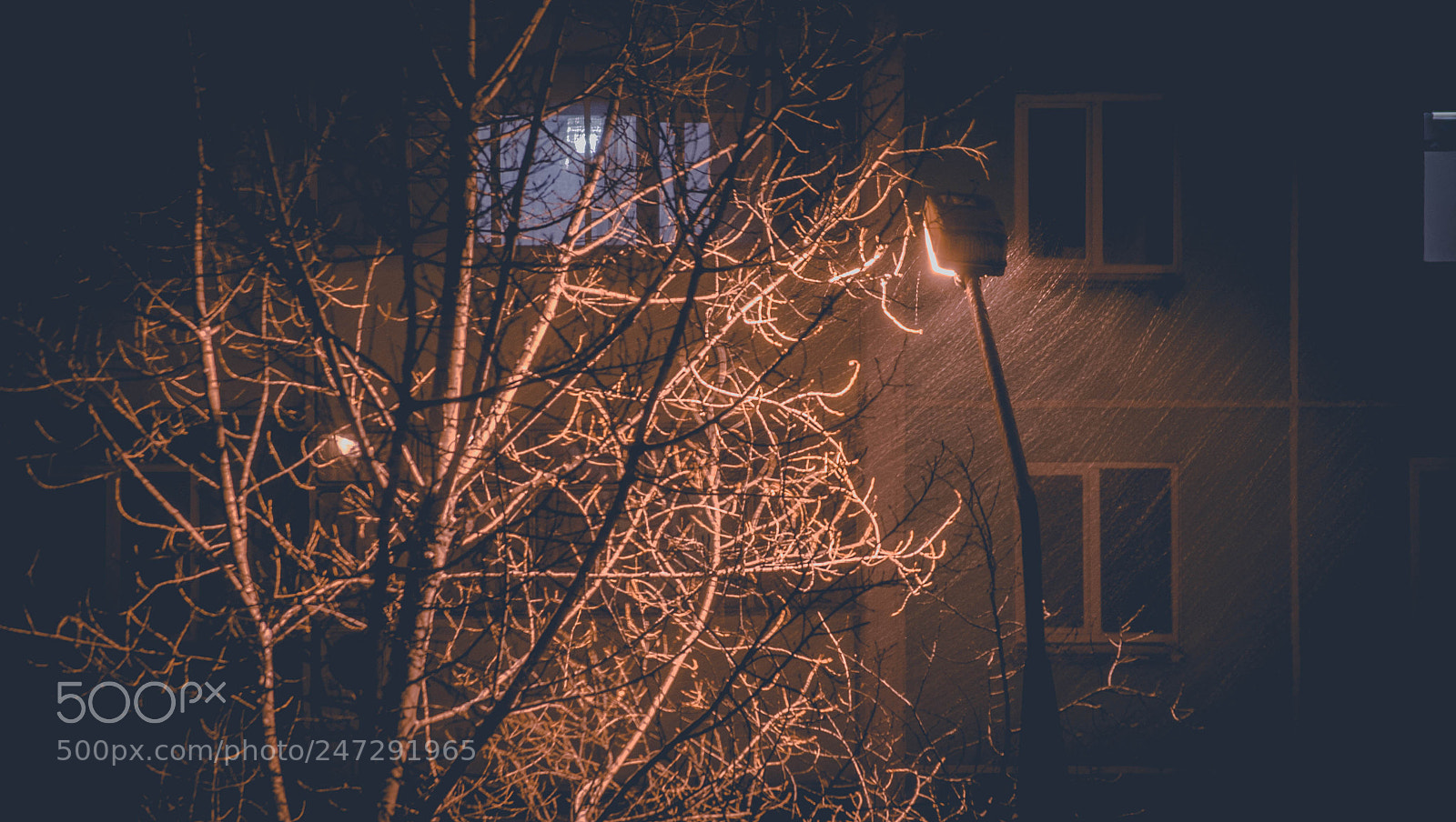 Nikon D610 sample photo. Ночь, улица, фонарь photography