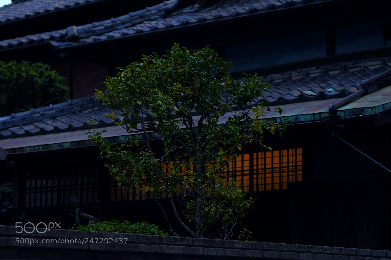 Fujifilm X-T2 sample photo. Untitled photography
