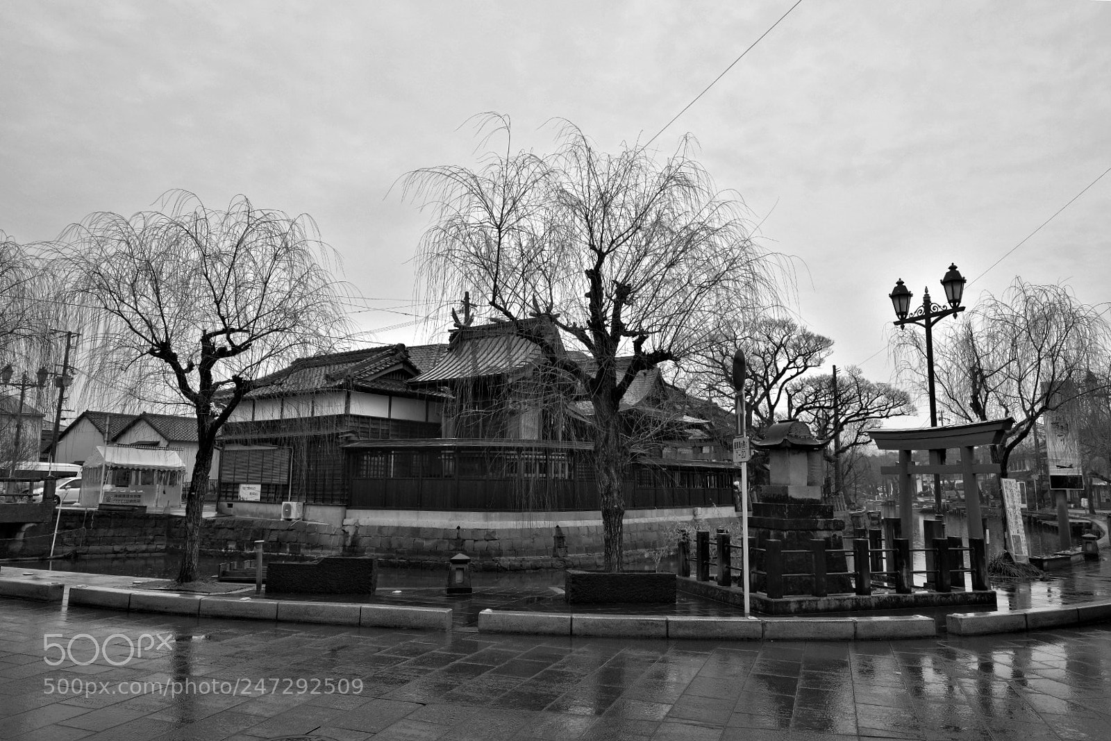 Fujifilm X-T2 sample photo. Untitled photography